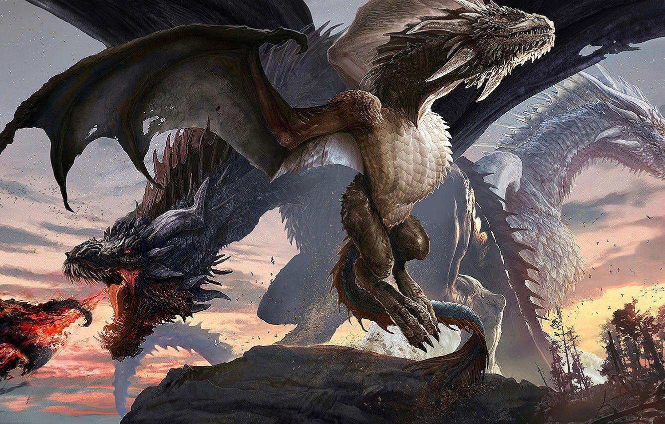 Wings of Fire Dragons Wallpapers - Top Free Wings of Fire Dragons ...