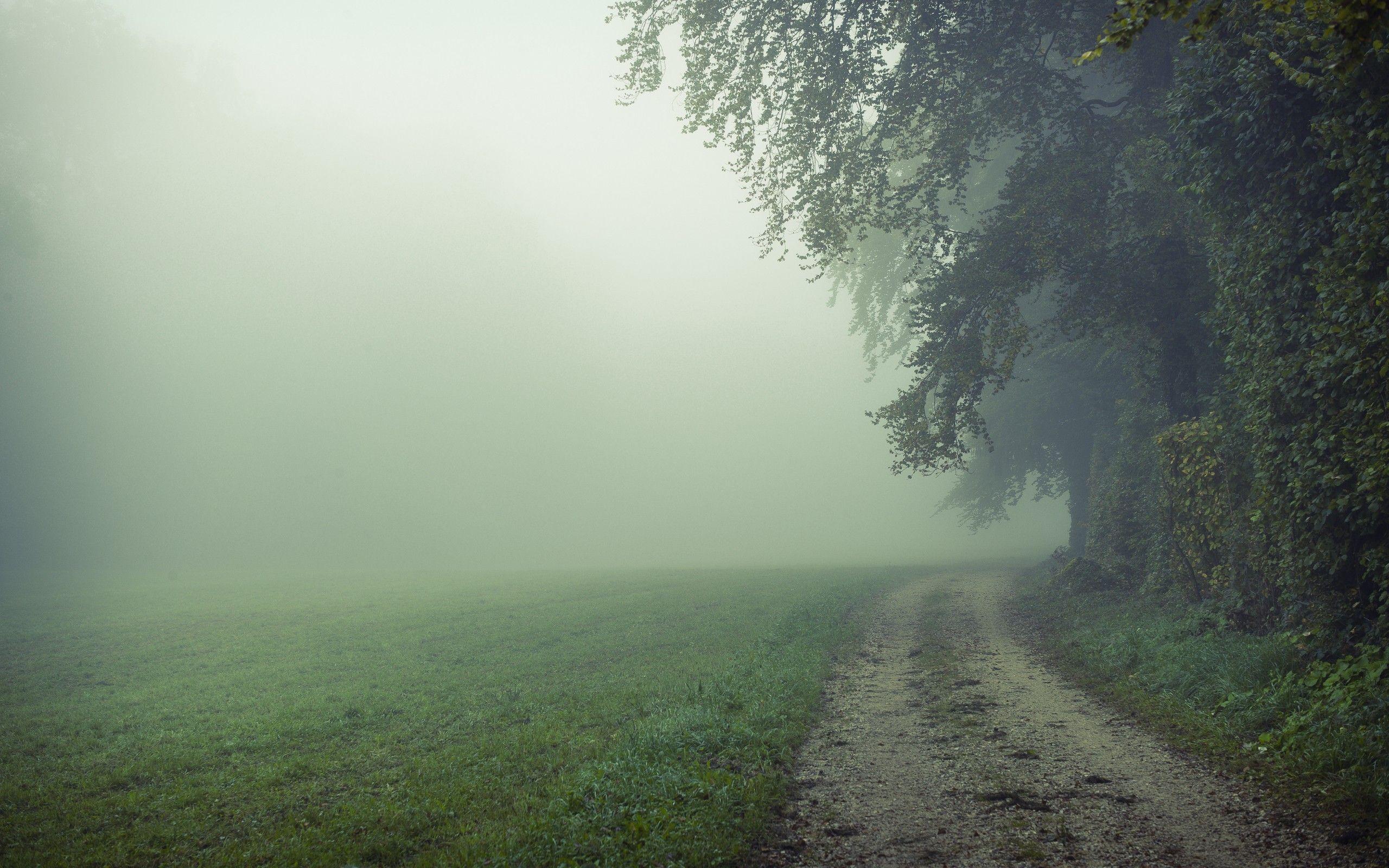 2560x1600 Misty Wallpaper Pack 39: 39 Misty Wallpaper Collection