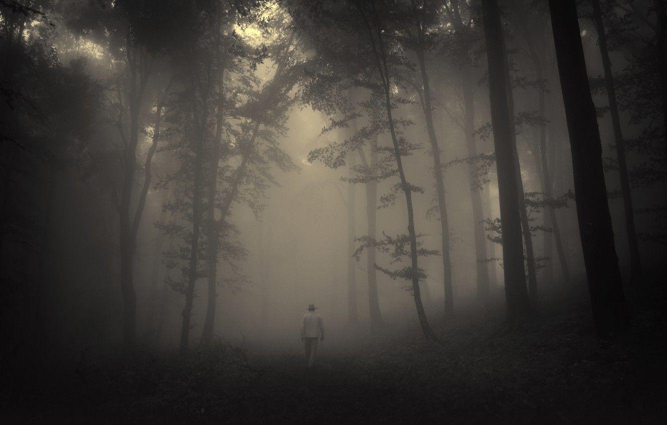 1332x850 Wallpaper road, sadness, forest, trees, landscape, nature, forest