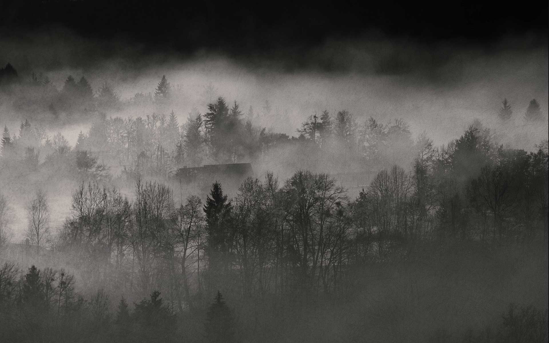 1920x1200 Misty Landscape_