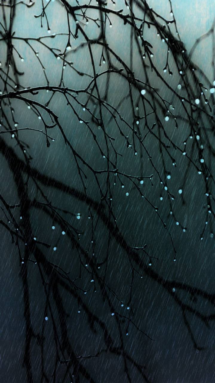 720x1280 Rainy Day wallpaper