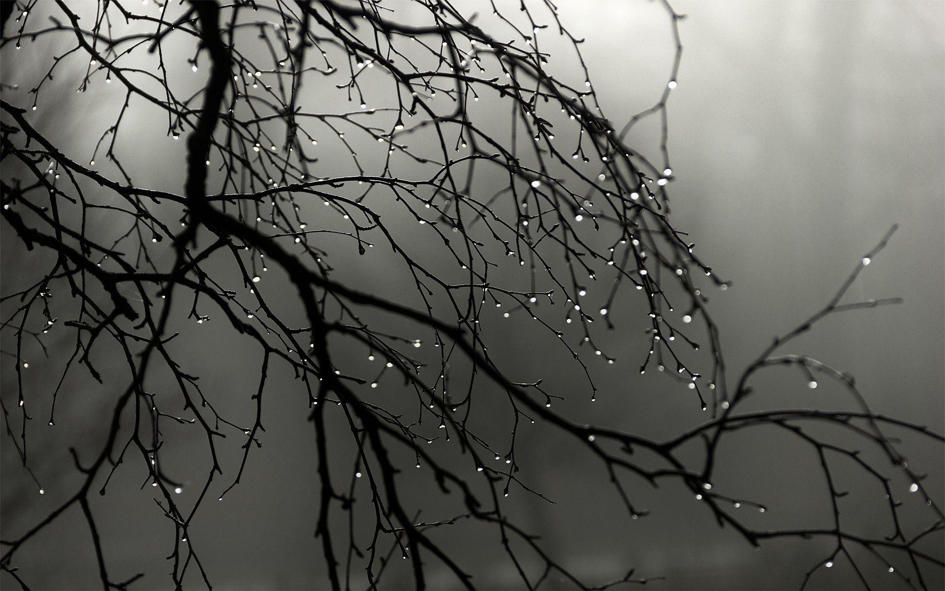 1920x1200 Rain HD Wallpaper