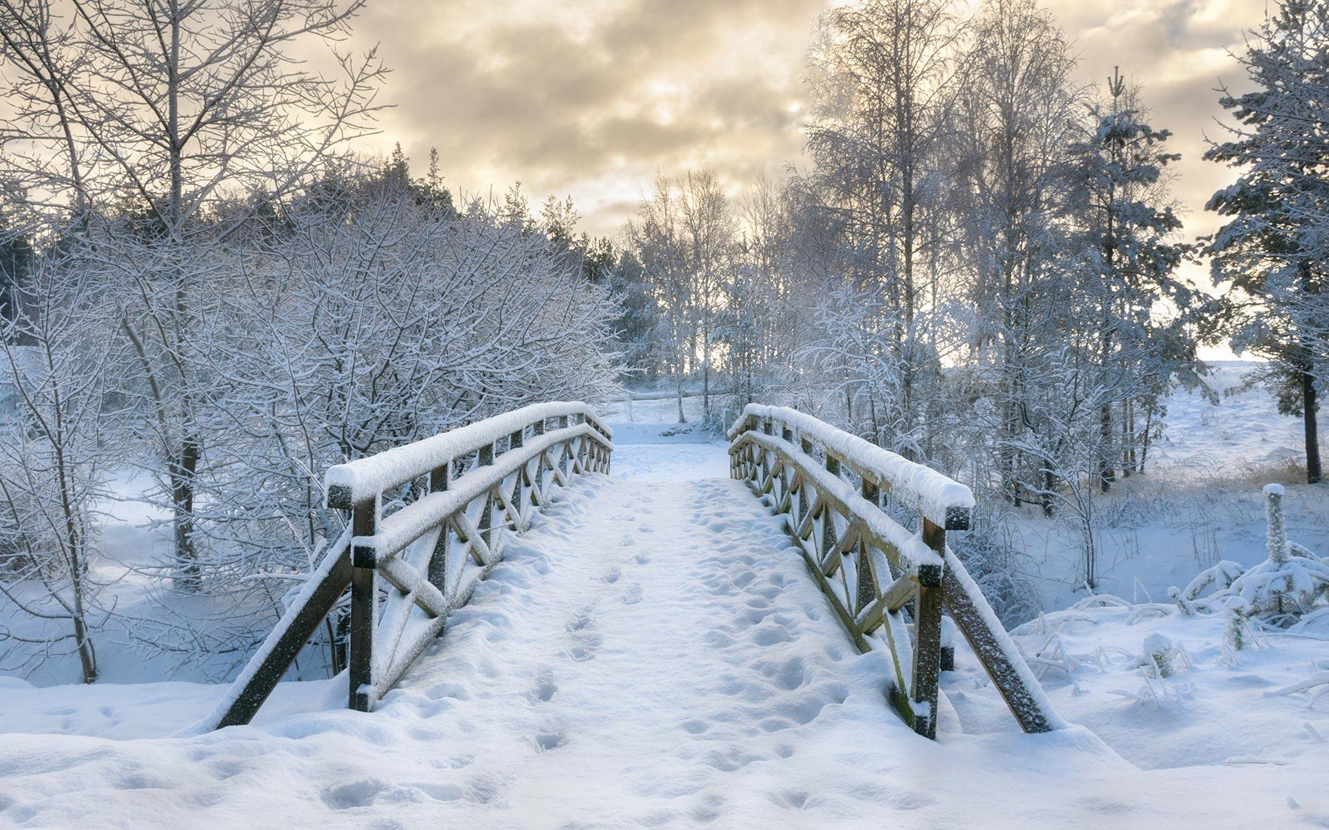 1920x1200 Snow HD Wallpaper