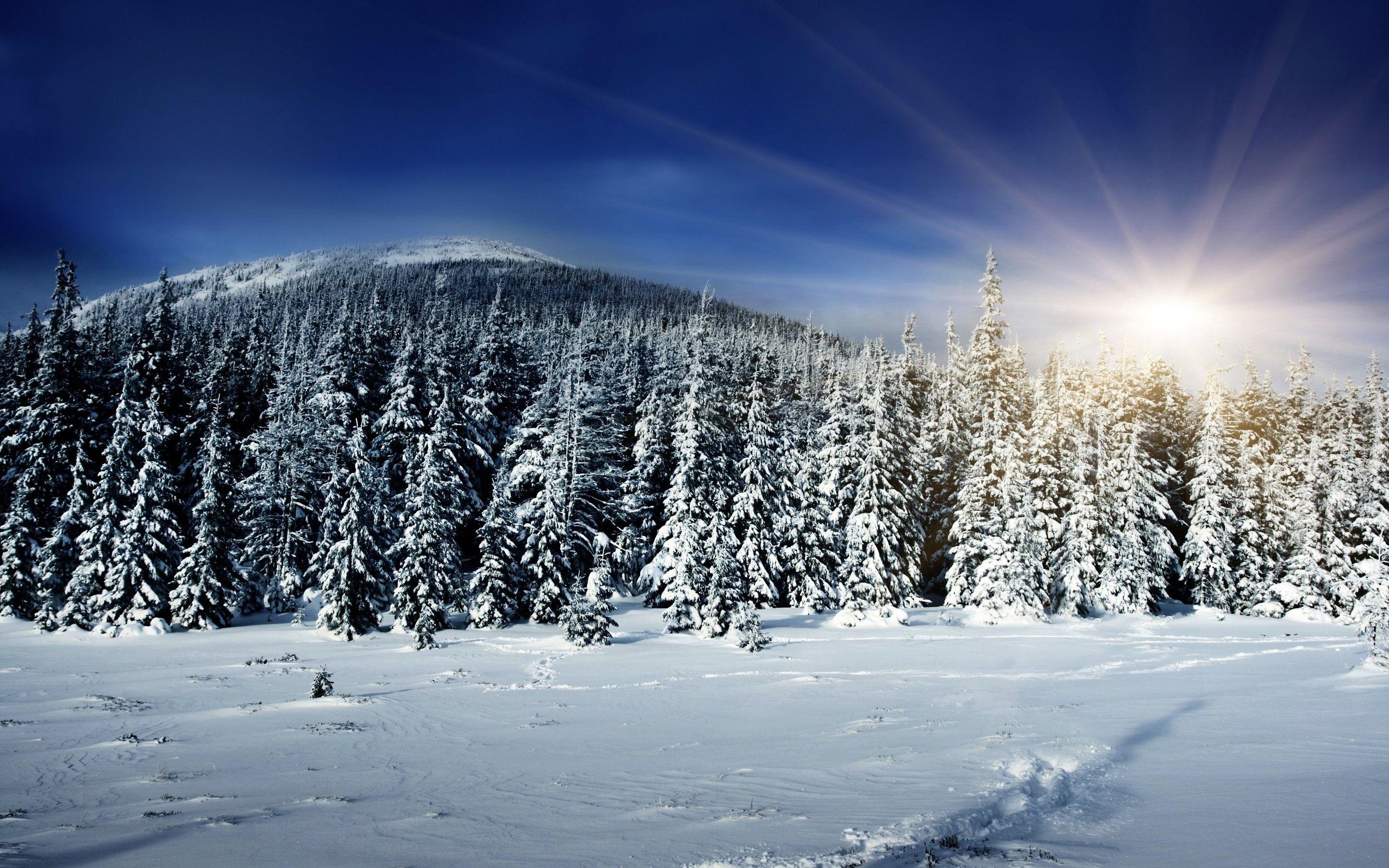 2880x1800 Mother Nature, Landscape, Windows Wallpaper, Snow, HD Landscape