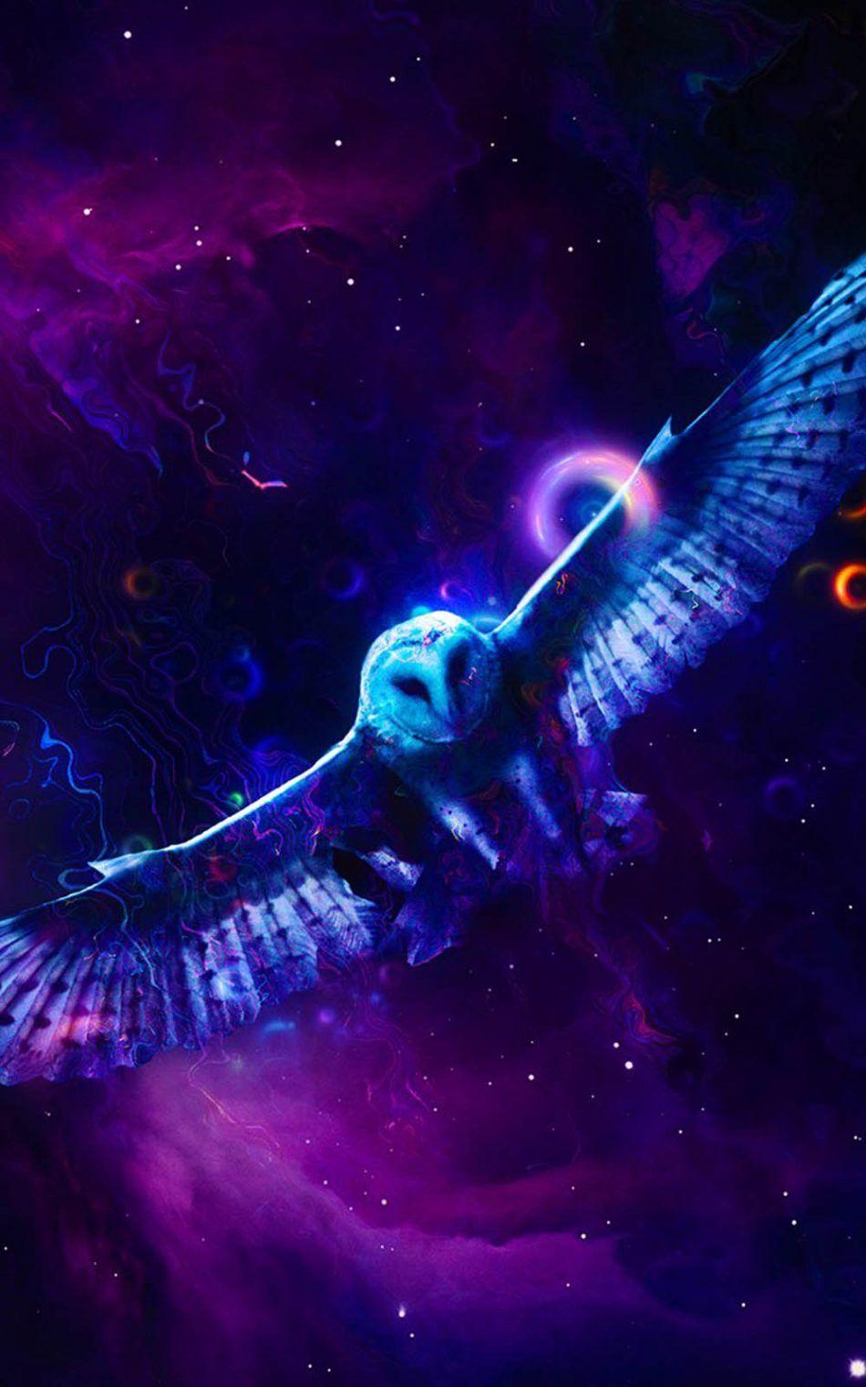 950x1520 Neon Owl HD Mobile Wallpaper Animal, Download Wallpaper
