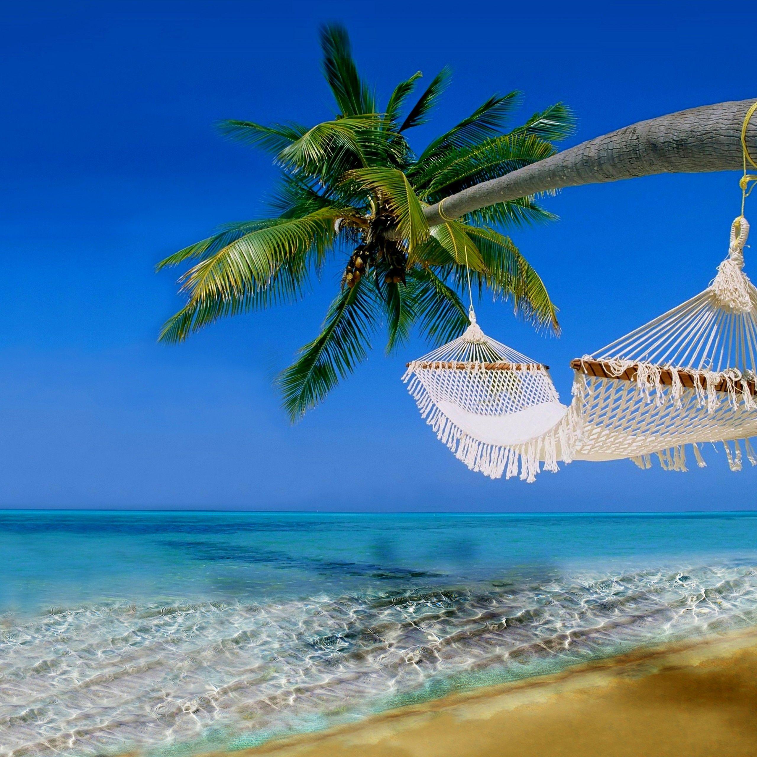 2560x2560 Wallpaper Tropical beach, Ocean, Hawaii, Coast, 4K, Nature
