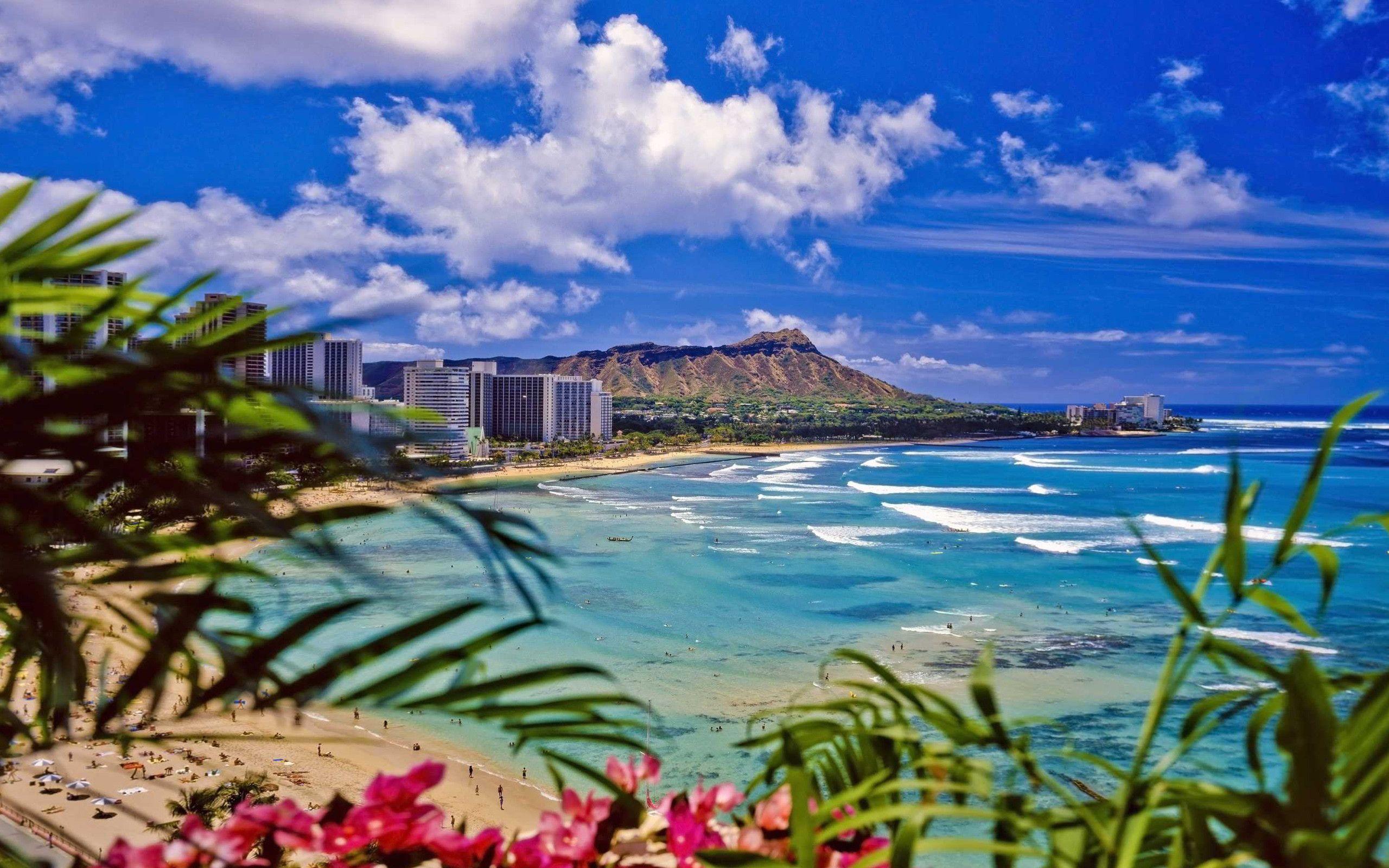 Oahu Hawaii Wallpapers Top Free Oahu Hawaii Backgrounds WallpaperAccess