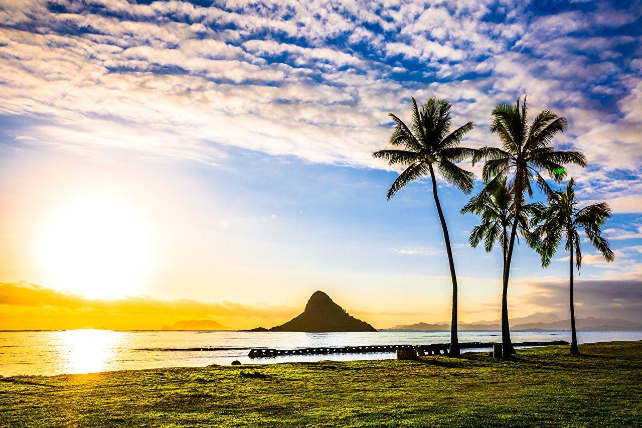 1280x853 Desktop Wallpaper Hawaii USA Sun Nature Scenery palm trees Sunrises