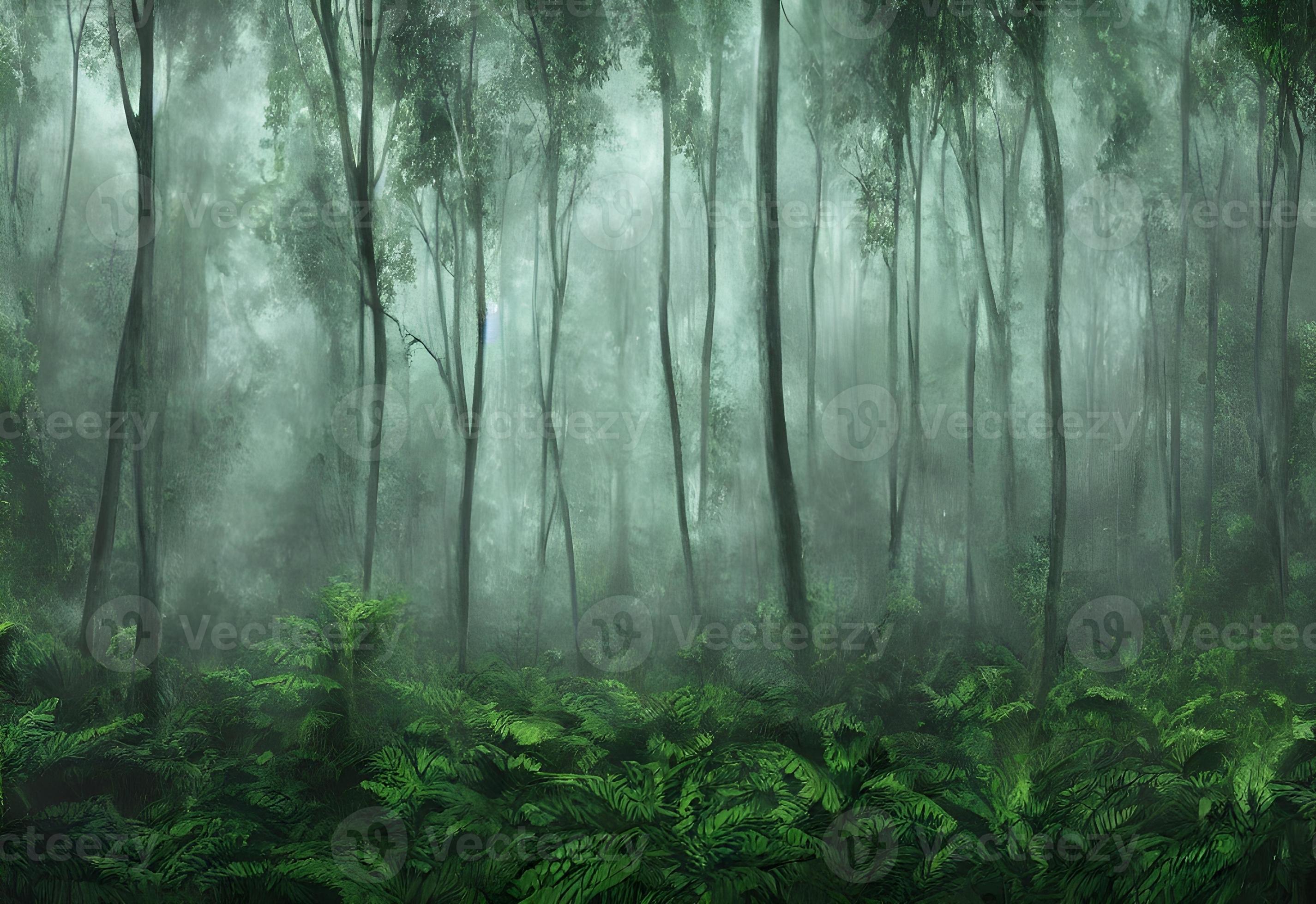 2851x1960 Exotic foggy forest Jungle panorama forest oasis Foggy dark forest Natural forest landscape