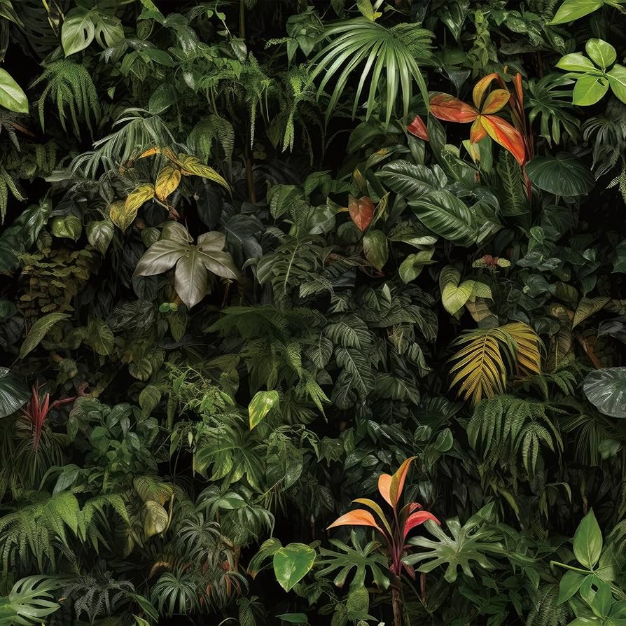894x894 ReWallpaper Dark Botanical Peel and Stick Wallpaper Green Rainforest Mural Tropical Wall Paper for Bathroom Bedroom Kids Room Removable Secret Garden Decorative Contact Paper for Cabinets 17.5inx10ft