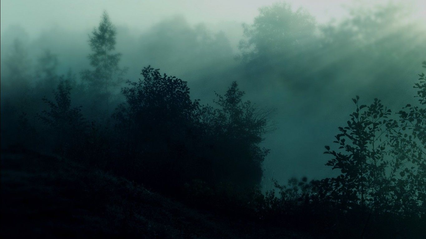1366x768 Forest During Nighttime HD Dark Aesthetic Wallpaper