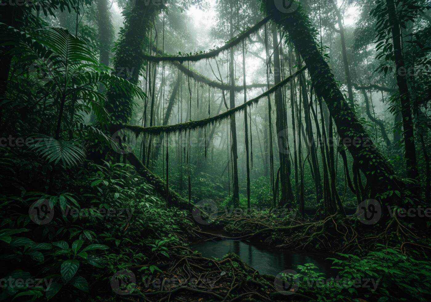 1400x980 Lush green cloud forest landscape with thick fog, vines, and dark jungle stream