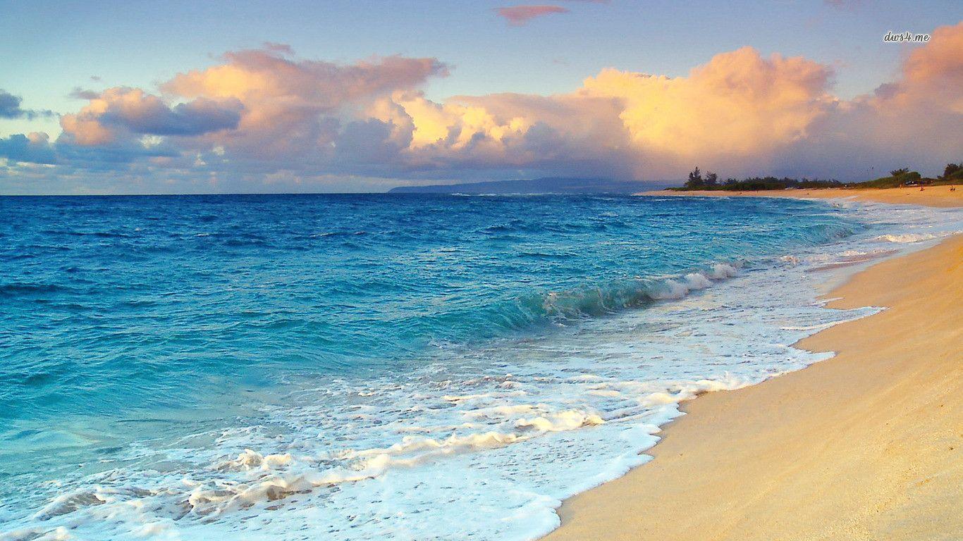 1366x768 Hawaii Beach Picture Wallpaper
