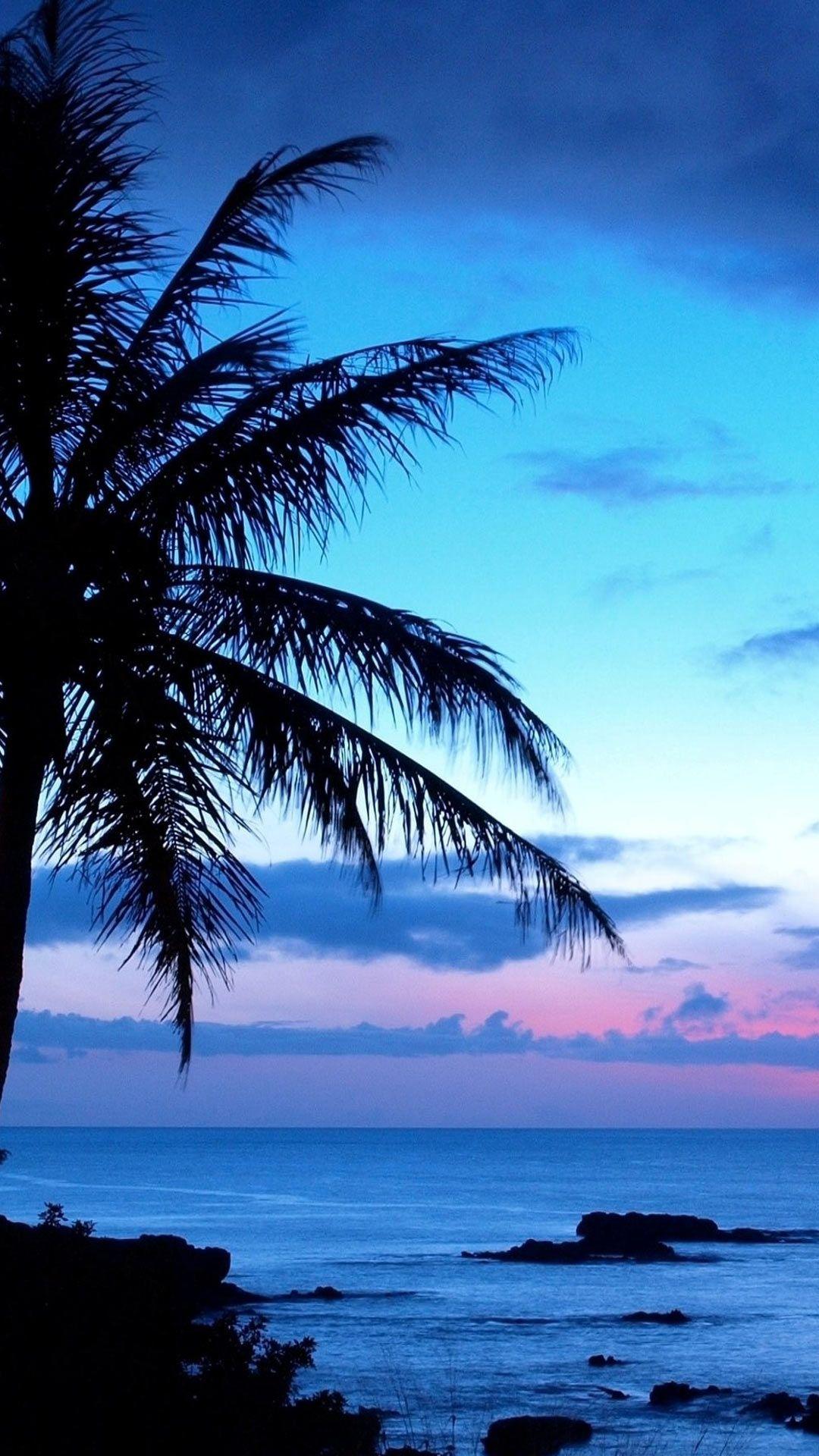 1080x1920 Wallpaper Hawaii, Beautiful, Beach, Scenery