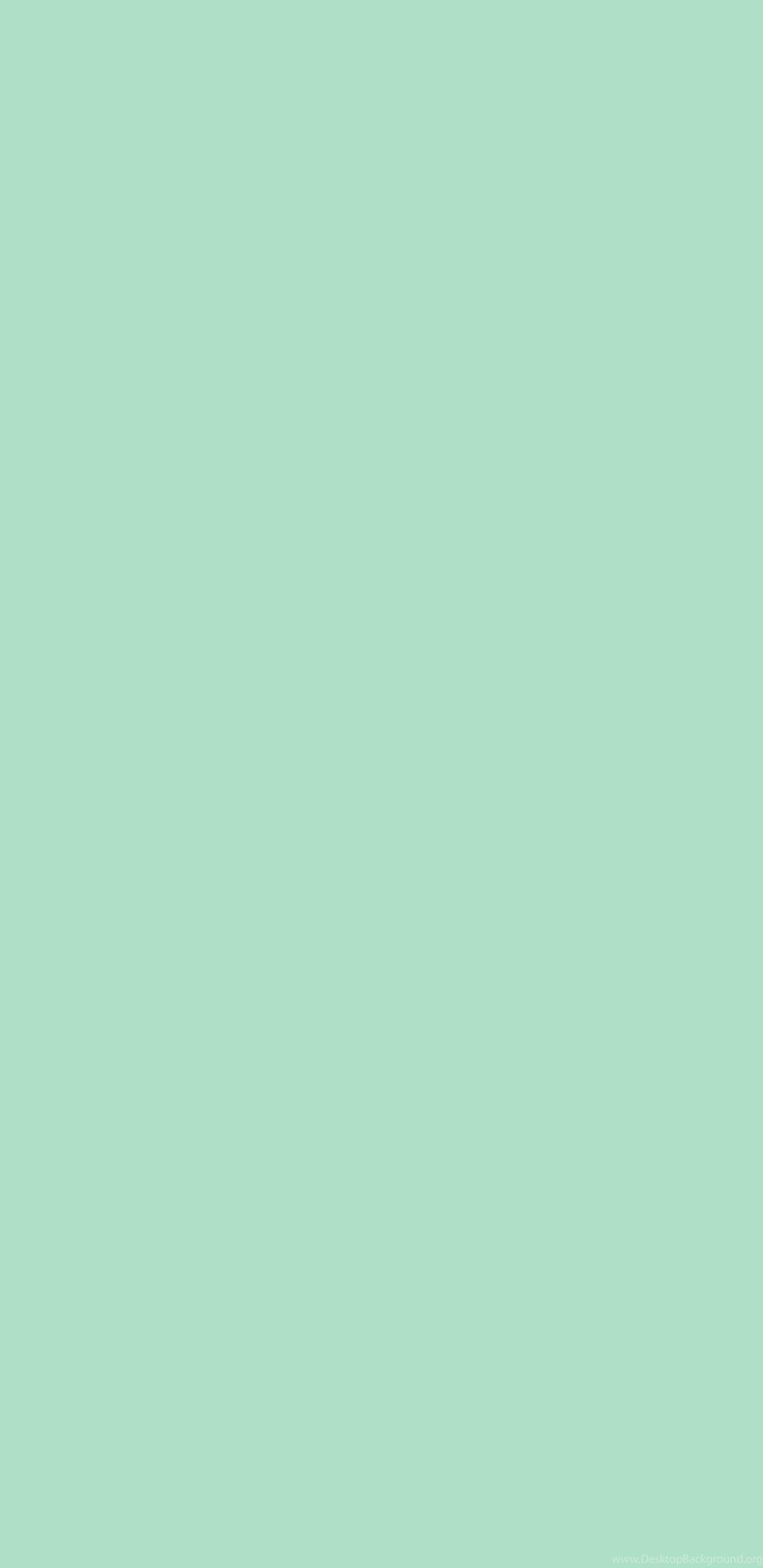 1440x2960 Solid Color Wallpaper For iPhone Image Desktop Background