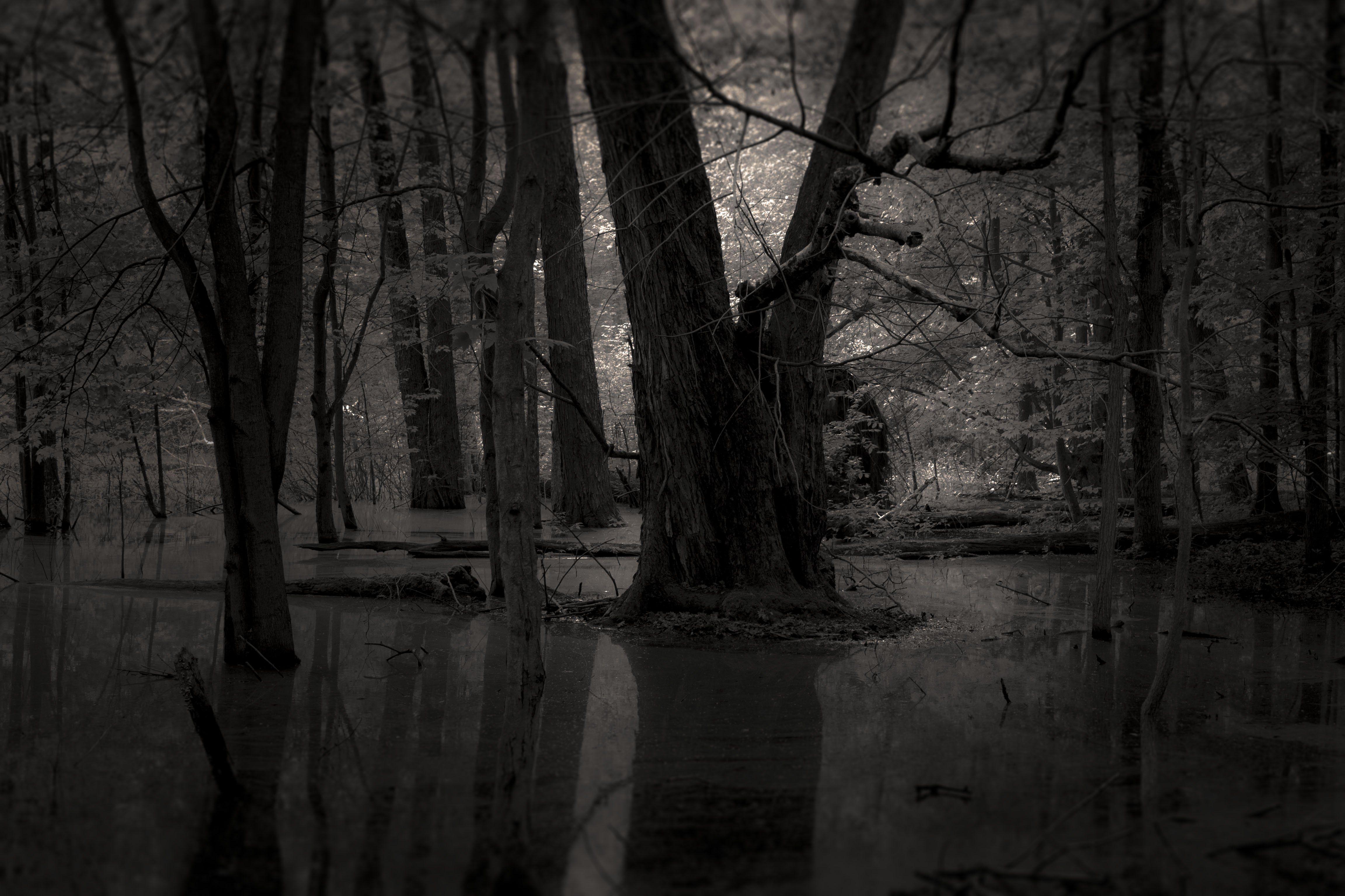 4608x3072 Creepy Wallpaper wallpaper Collections