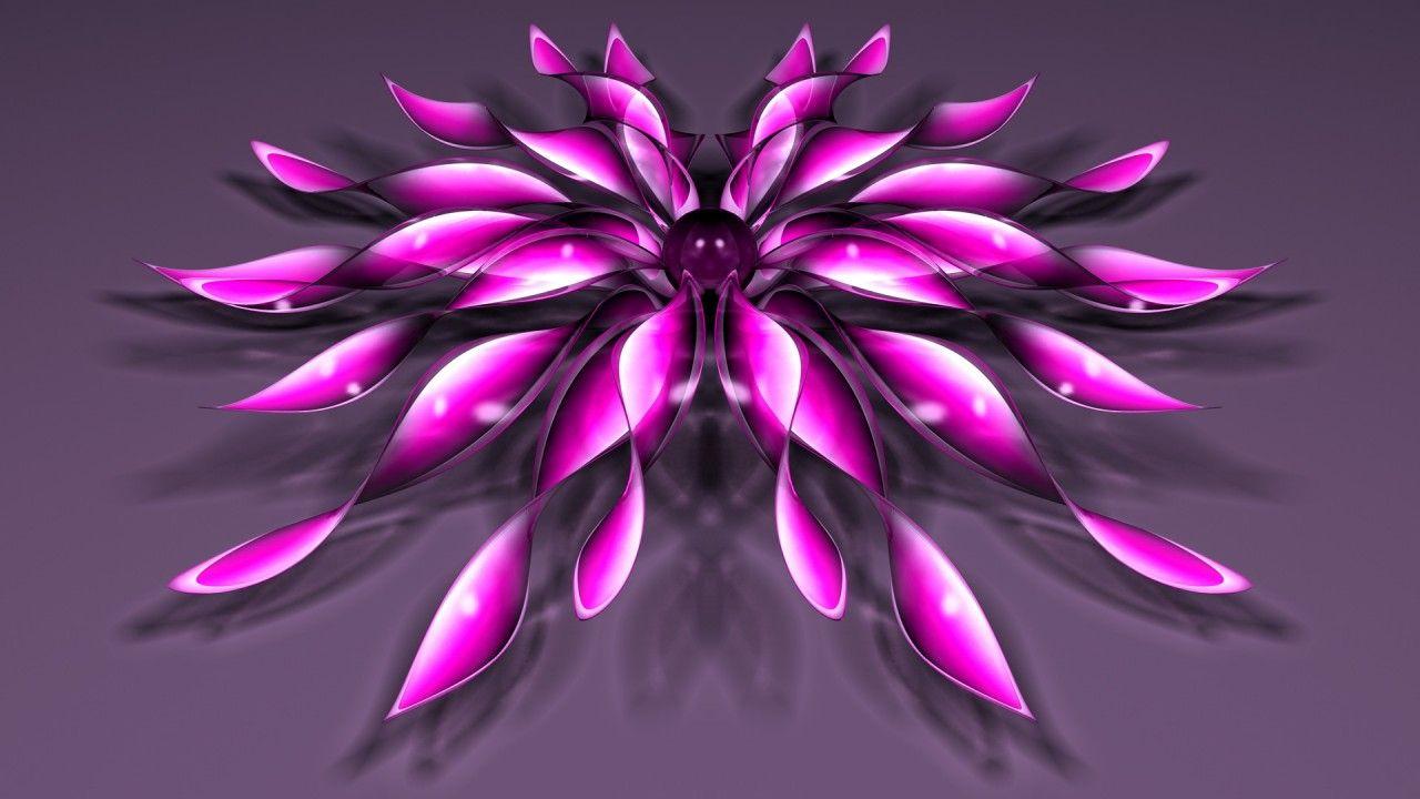 1280x720 Pink Flower Bright Light wallpaper. Pink Flower Bright Light