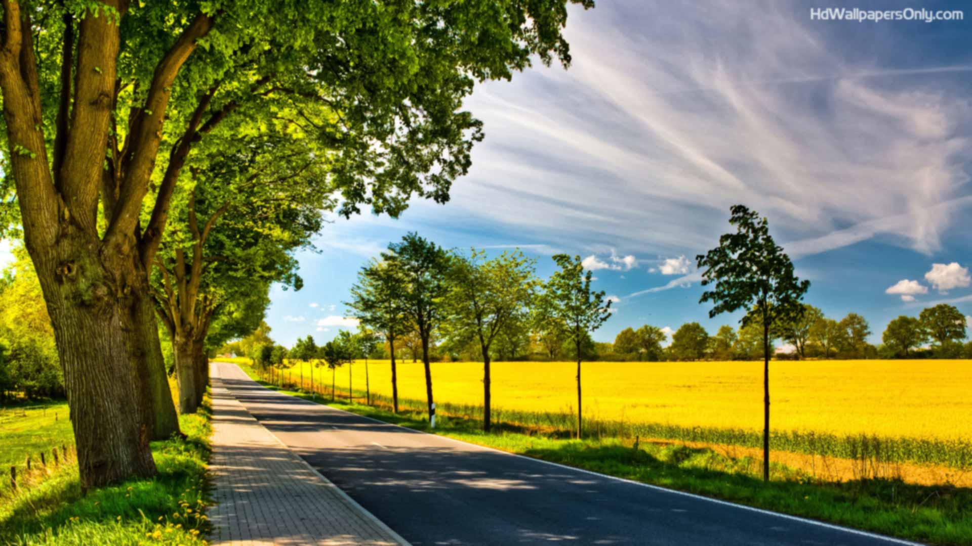 1920x1080 Top HD Nature Wallpaper