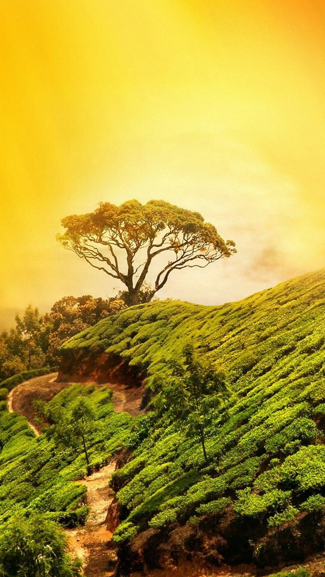 1080x1920 Best Nature Wallpaper