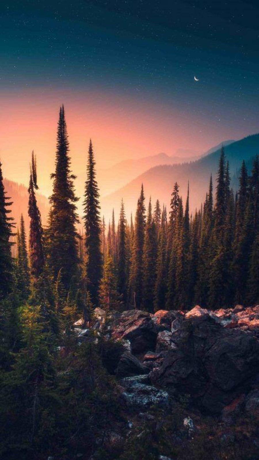 900x1600 Top Nature Wallpaper For Phone Free Download