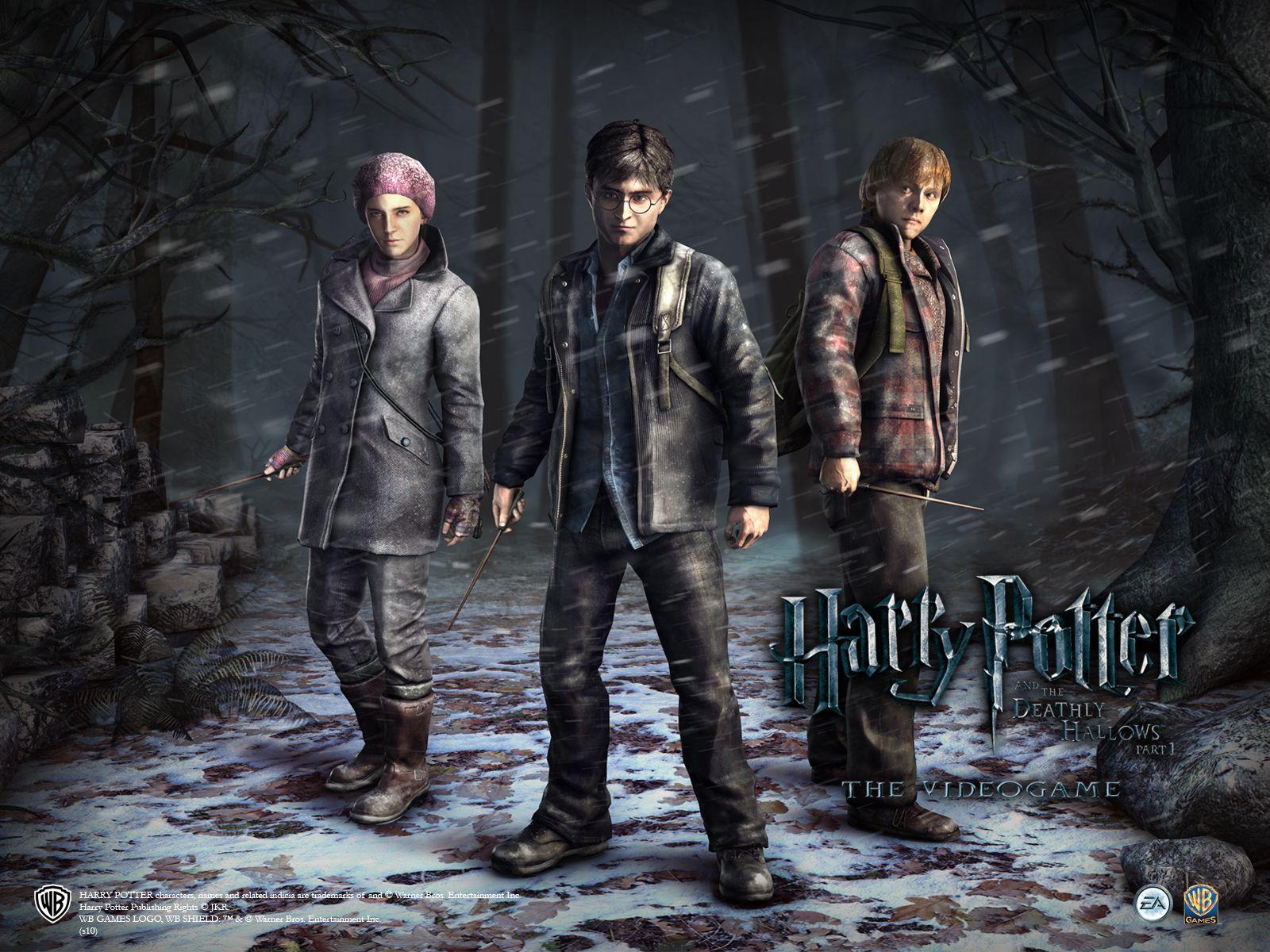1600x1200 HP DH P2 video game wallpaper Potter Wallpaper 25599242