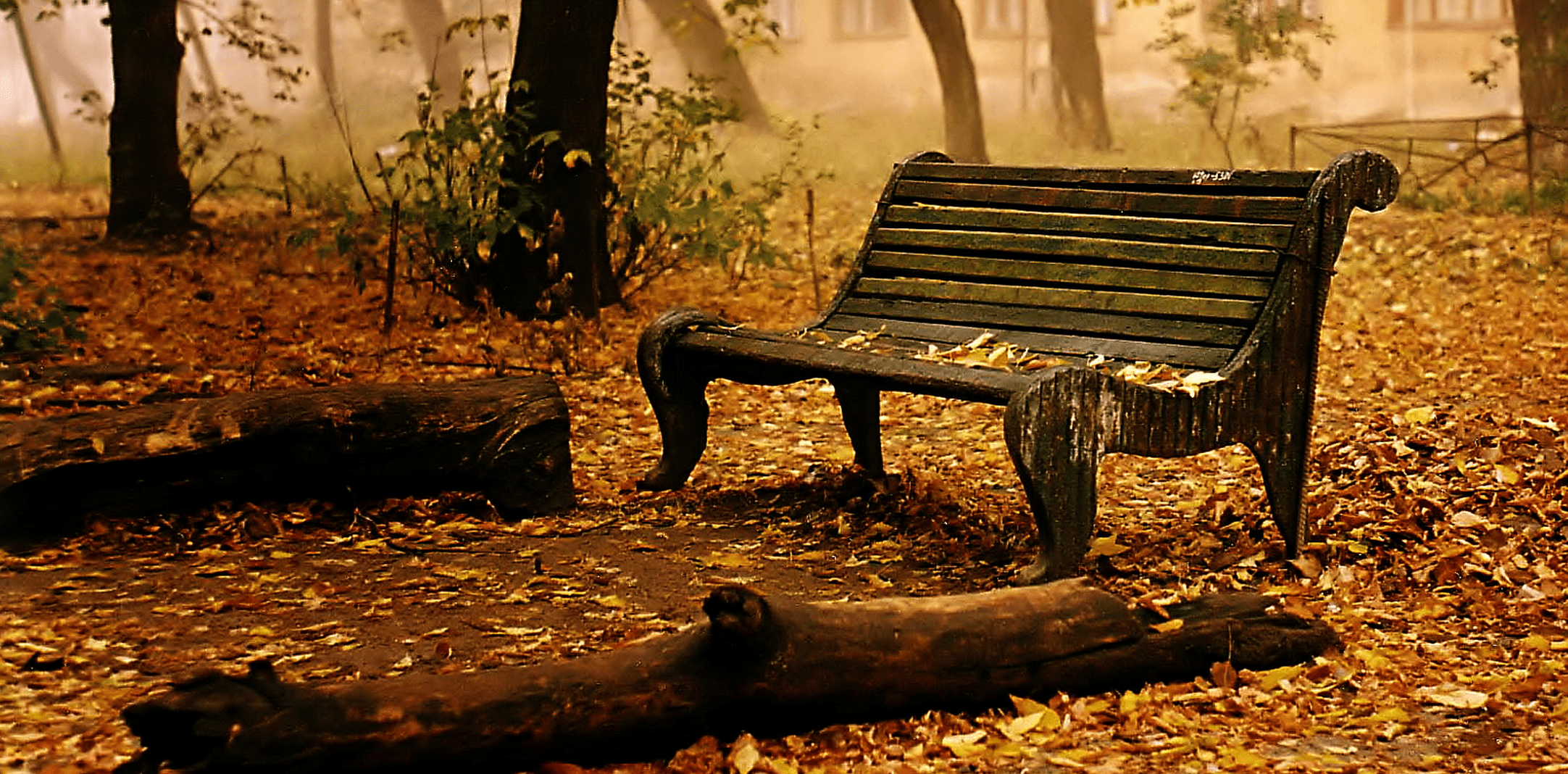 2164x1068 Free download my HD wallpaperfrblog 12 10 fall high definition wallpaperhtml [2164x1068] for your Desktop, Mobile & Tablet. Explore 8K Nature WallpaperK Wallpaper, Ultra HD Wallpaper, UHD Wallpaper