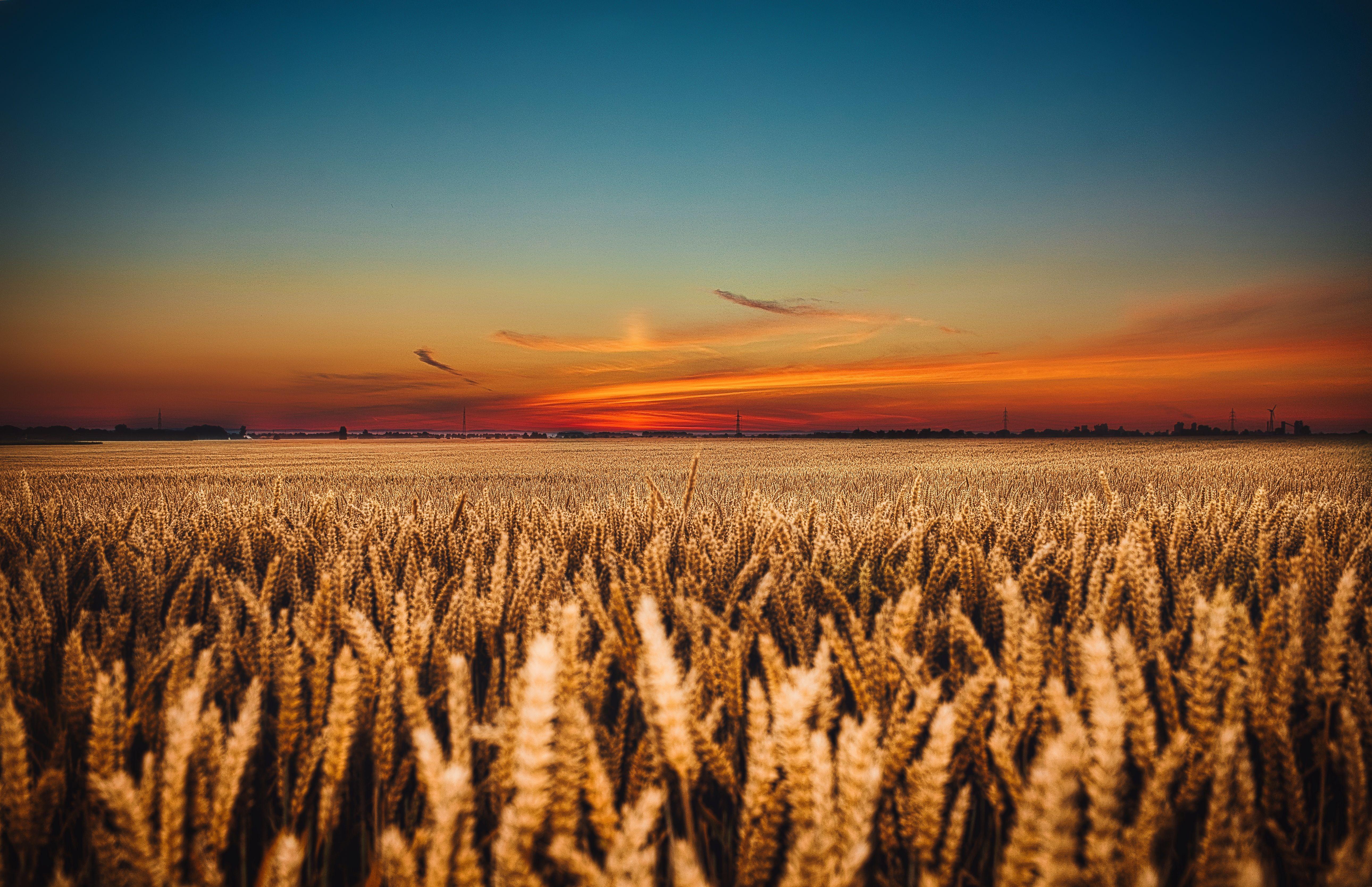 5161x3337 Ultra HD 8k 7680x4320 Nature Wallpaper