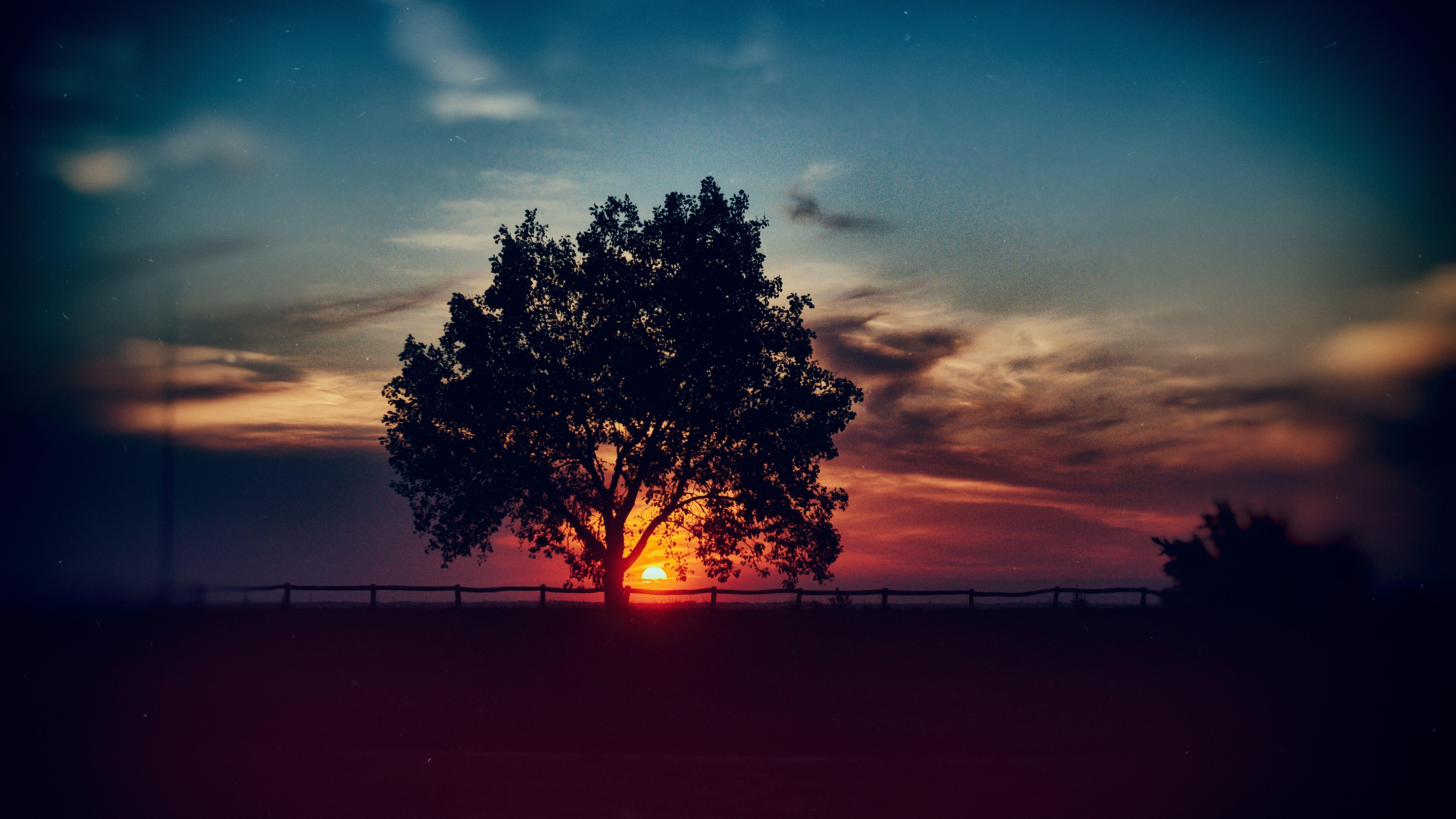 7680x4320 Ultra HD Wallpaper 8k 7680x4320