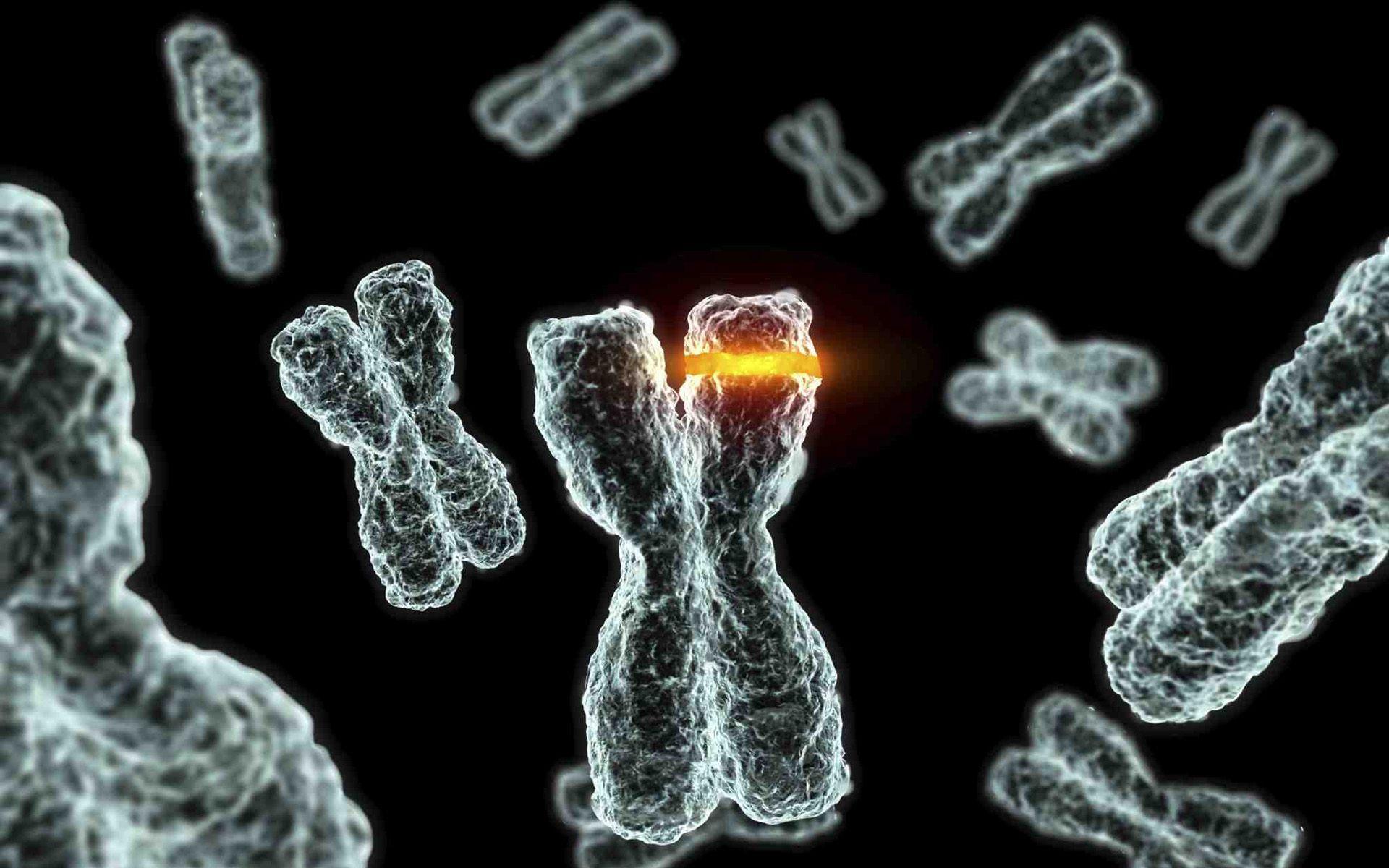 1920x1200 Biochemistry Wallpaper