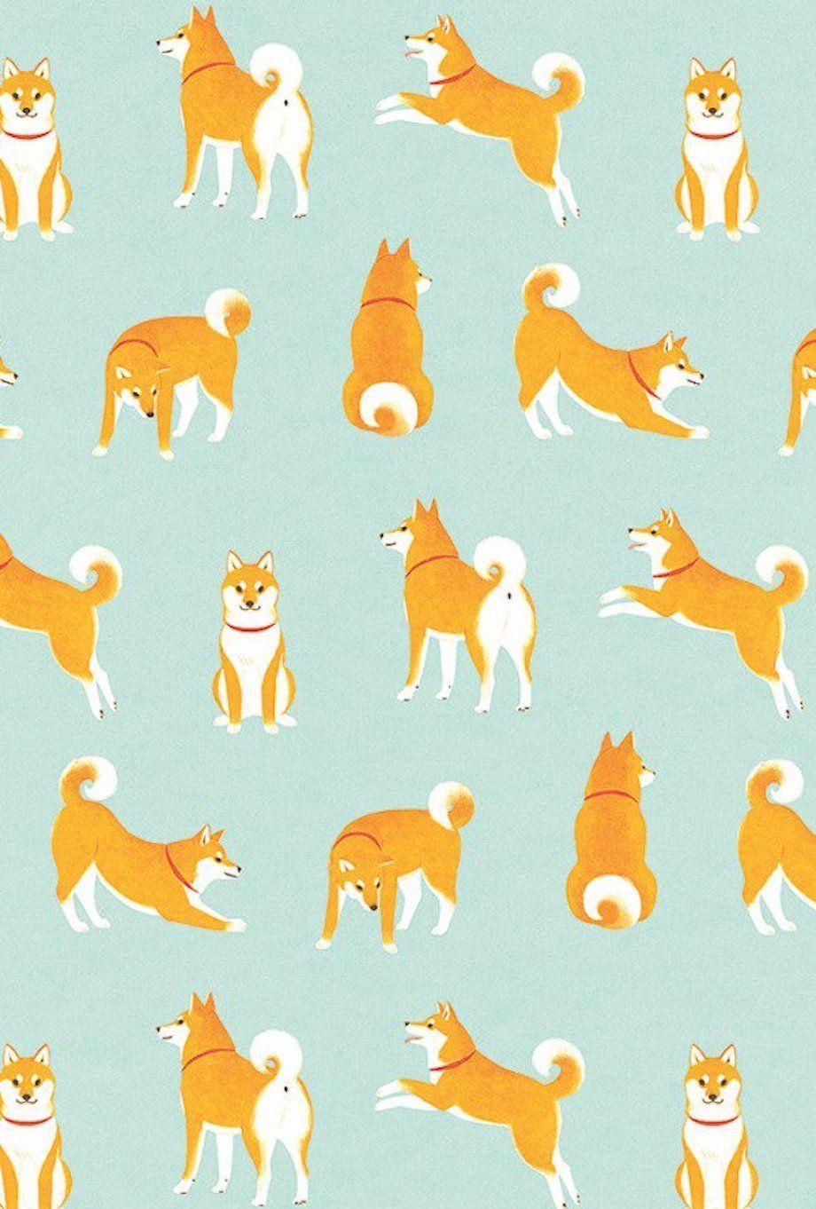 Dog Pattern Wallpapers Top Free Dog Pattern Backgrounds WallpaperAccess