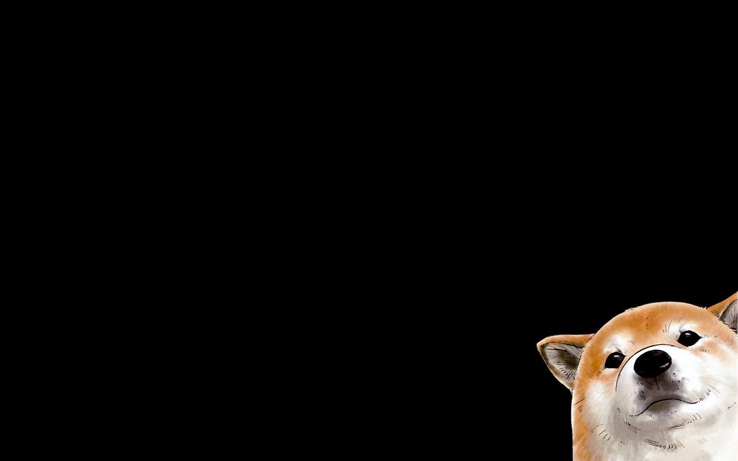 1440x900 Dogs Corgi black background wallpaperx900