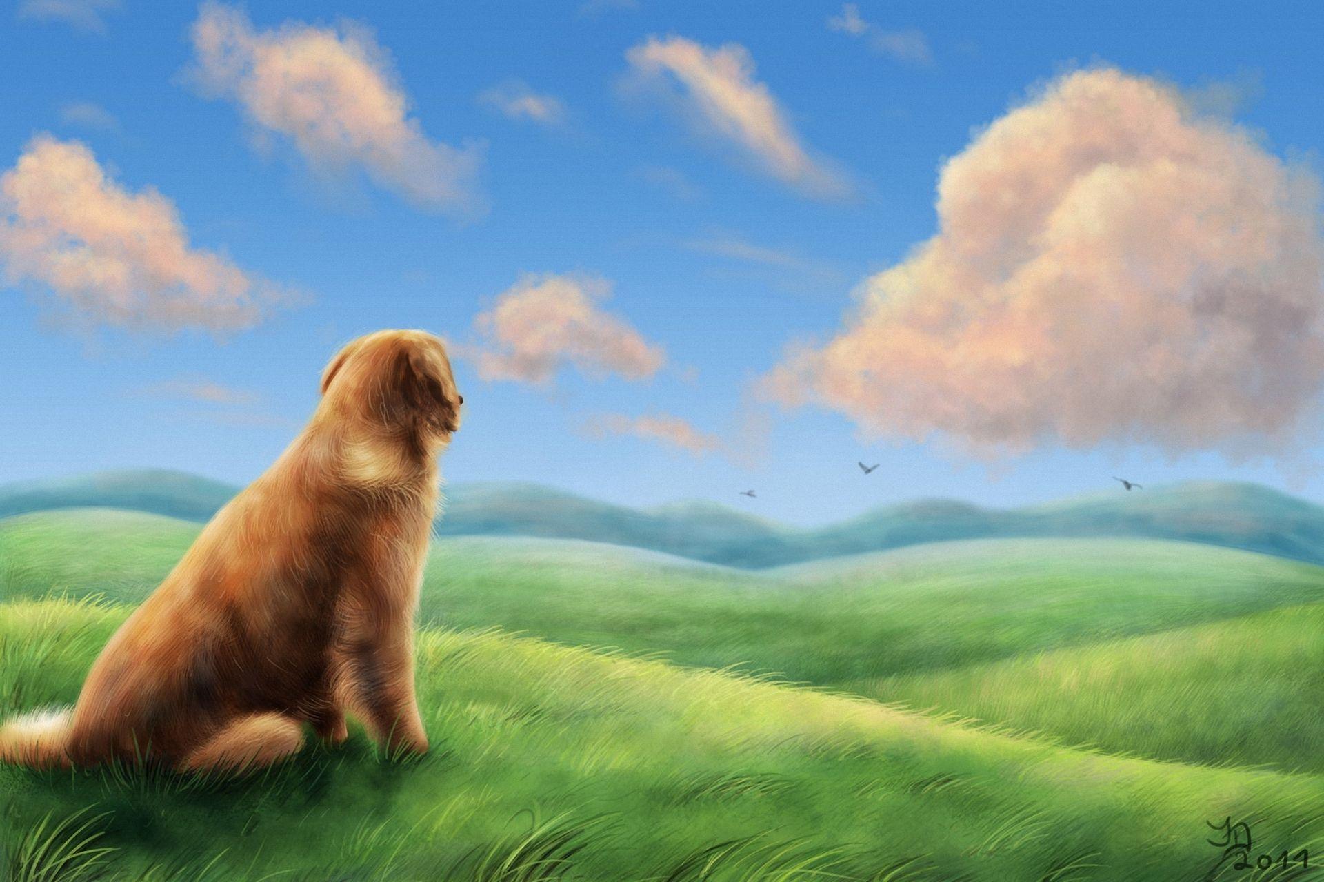 1920x1280 Free download Dog Computer Wallpaper Desktop Background
