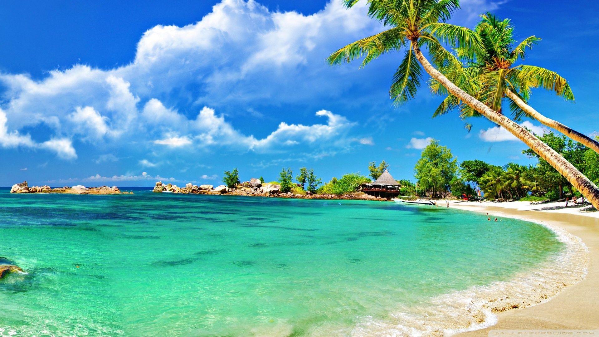 Tropical Beach Wallpapers Top Free Tropical Beach Backgrounds Wallpaperaccess