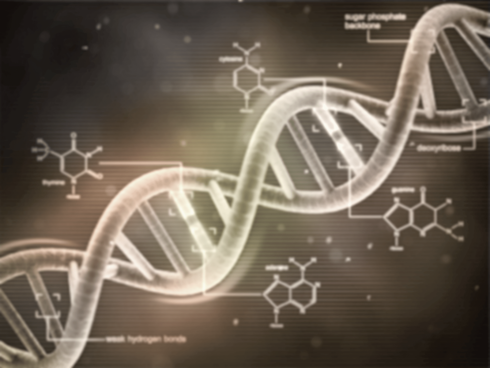 1600x1200 Biochemistry Wallpaper