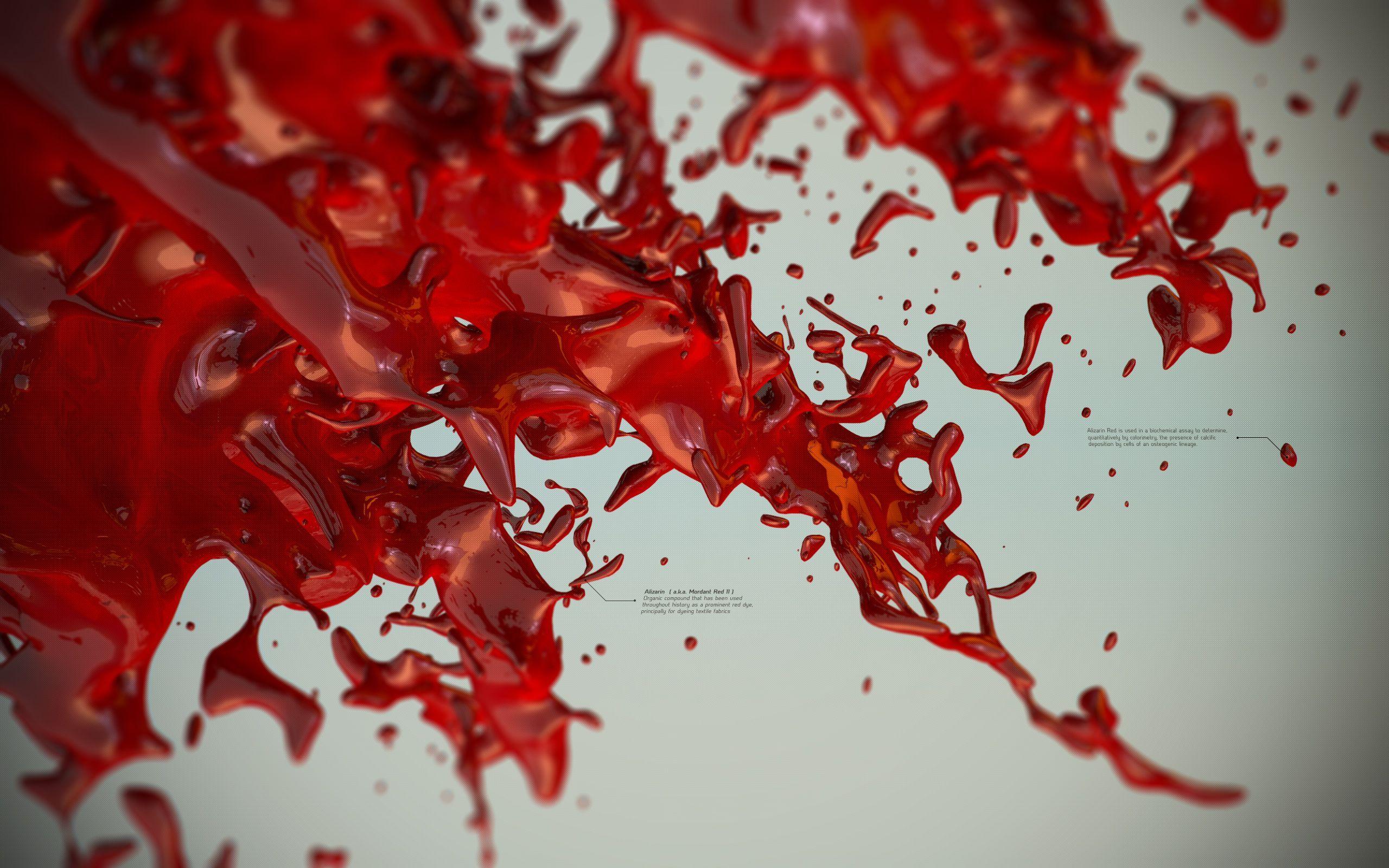 2560x1600 WallpaperHD