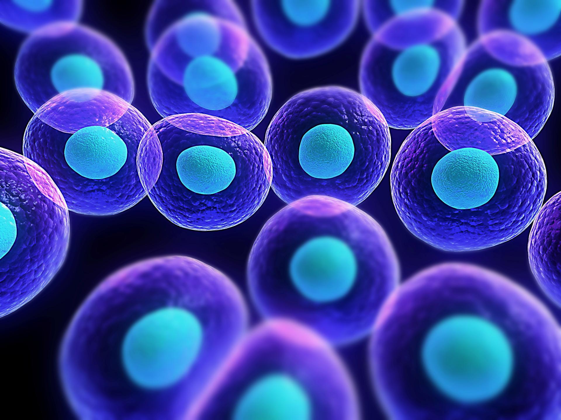 1920x1440 Cell Biology flashcards on Tinycards