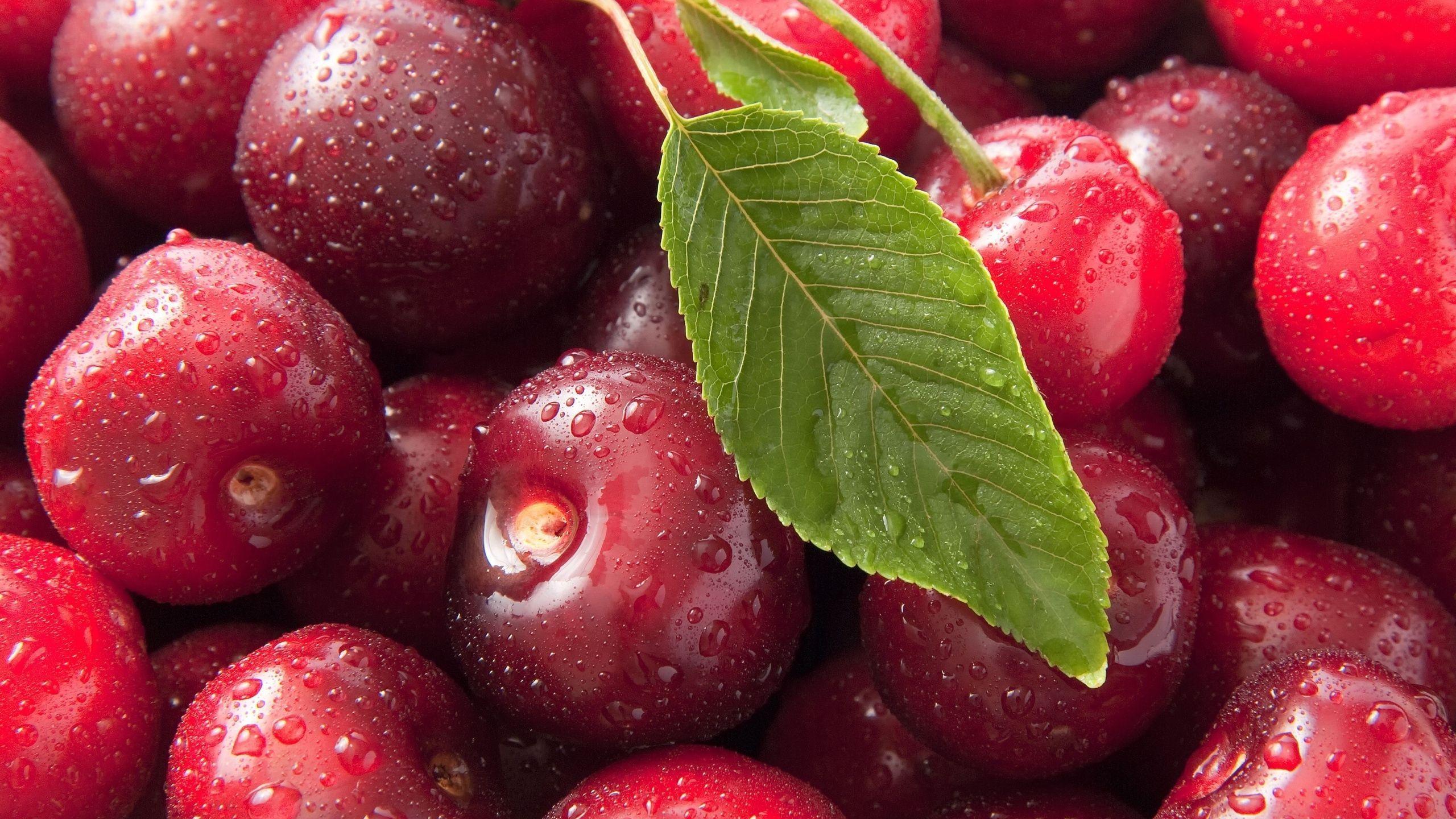 2560x1440 berry wallpaper HD 2094. Fruit, Cherry, Berries
