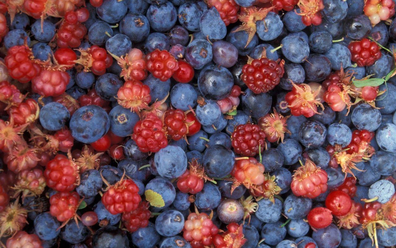 1280x804 Summer Forest Berries wallpaper. Summer Forest Berries