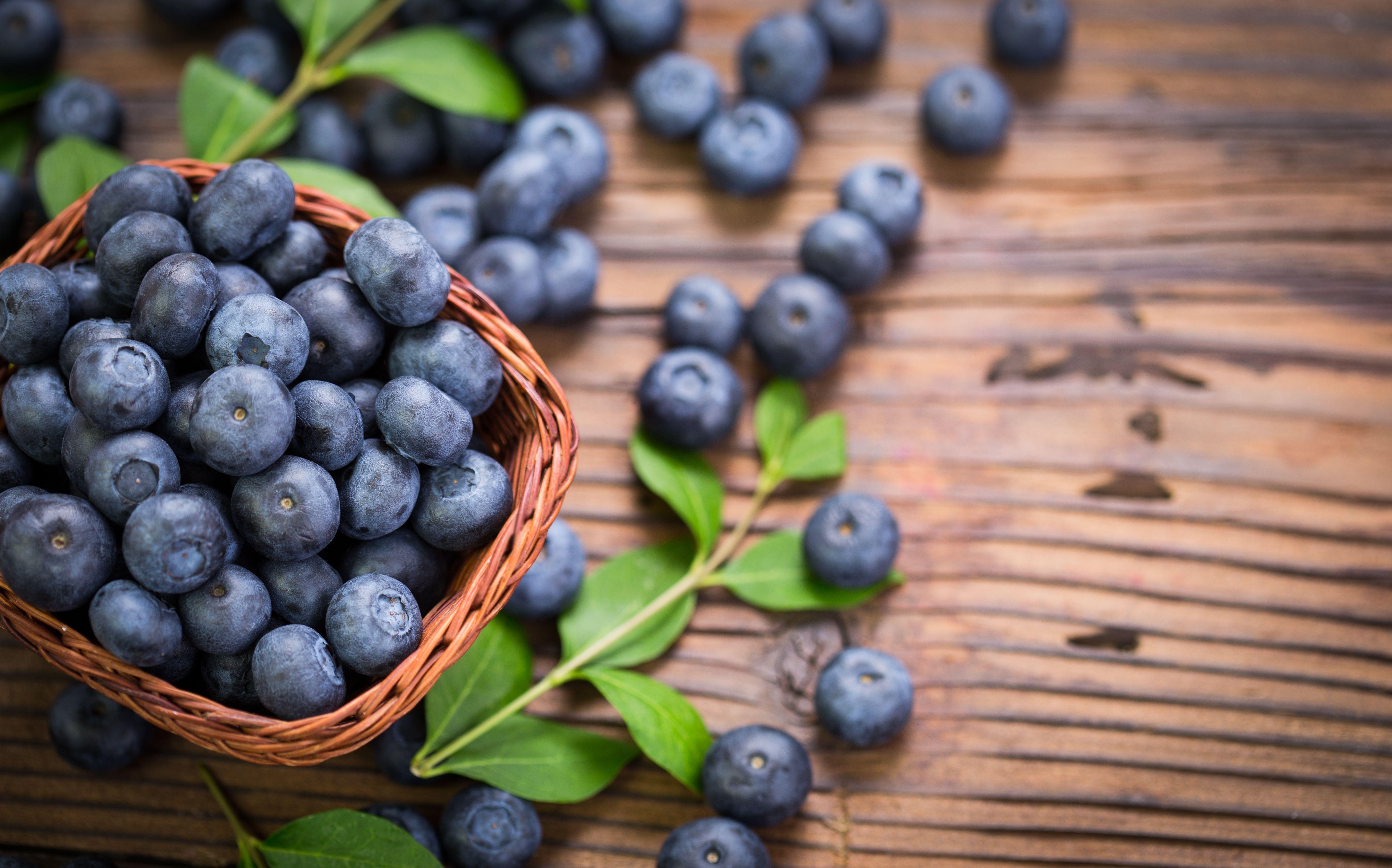 5231x3262 Blueberry 5k Retina Ultra HD Wallpaper. Background Image