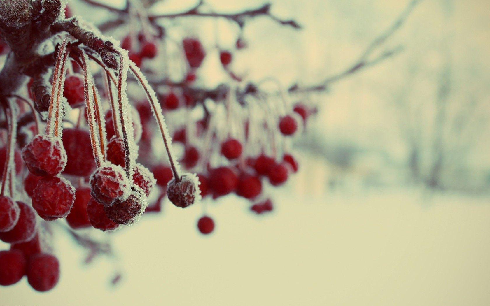 1680x1050 Frozen Berries Wallpaper on .