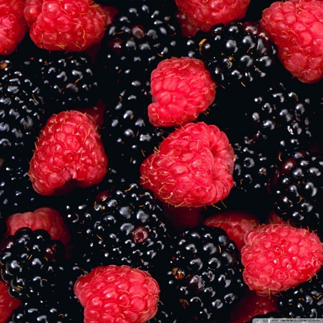 1280x1280 Berries Ultra HD Desktop Background Wallpaper for 4K UHD TV