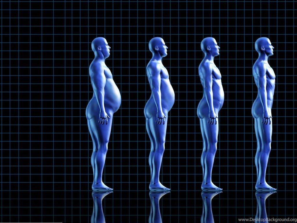 1024x768 Wallpaper Health And Fitness Royalty Free Powerpoint Ppt 1024x768