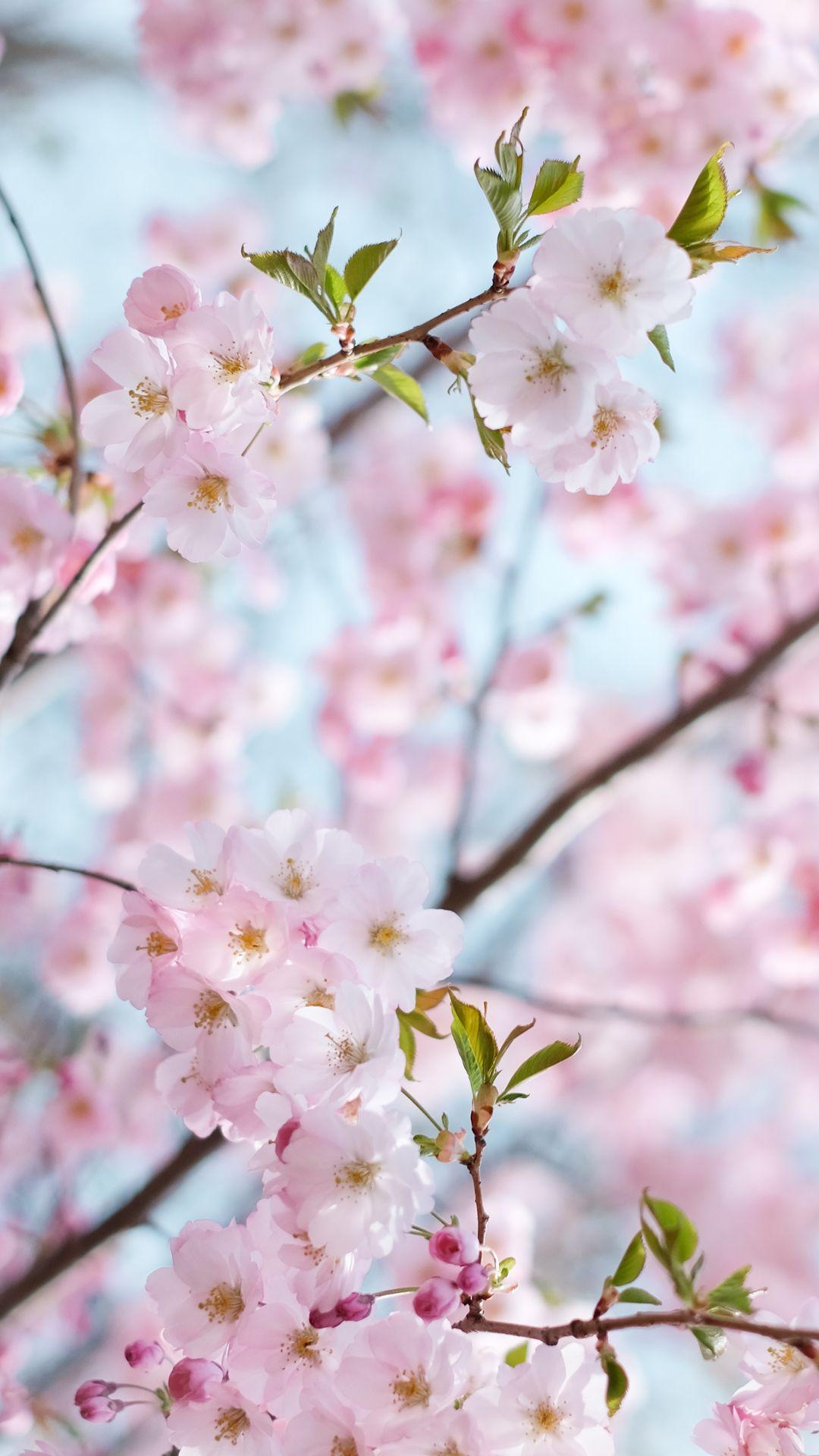 1080x1920 WP8 Background Pink. Pink Wallpaper, Cute
