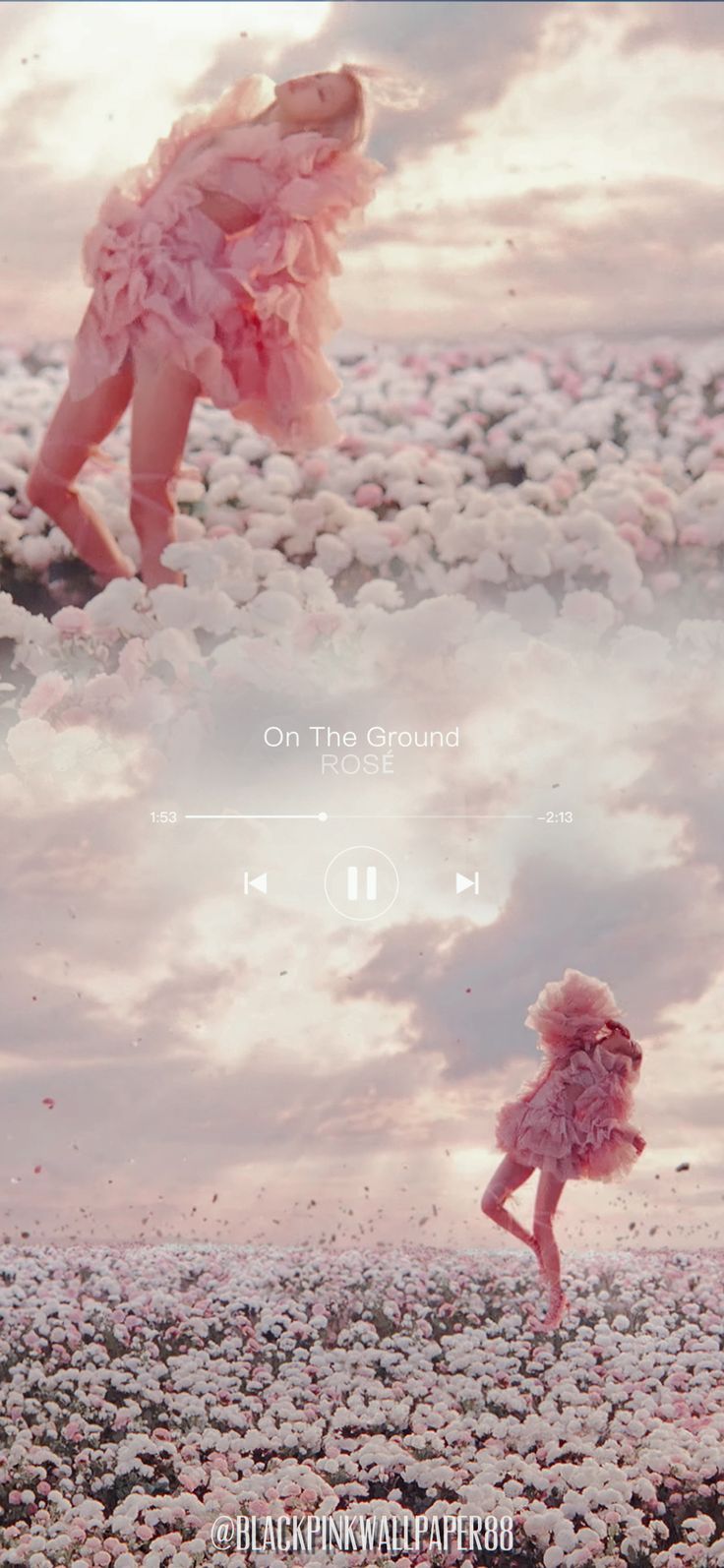 736x1594 ROSÉ ON THE GROUND MV WALLAPER
