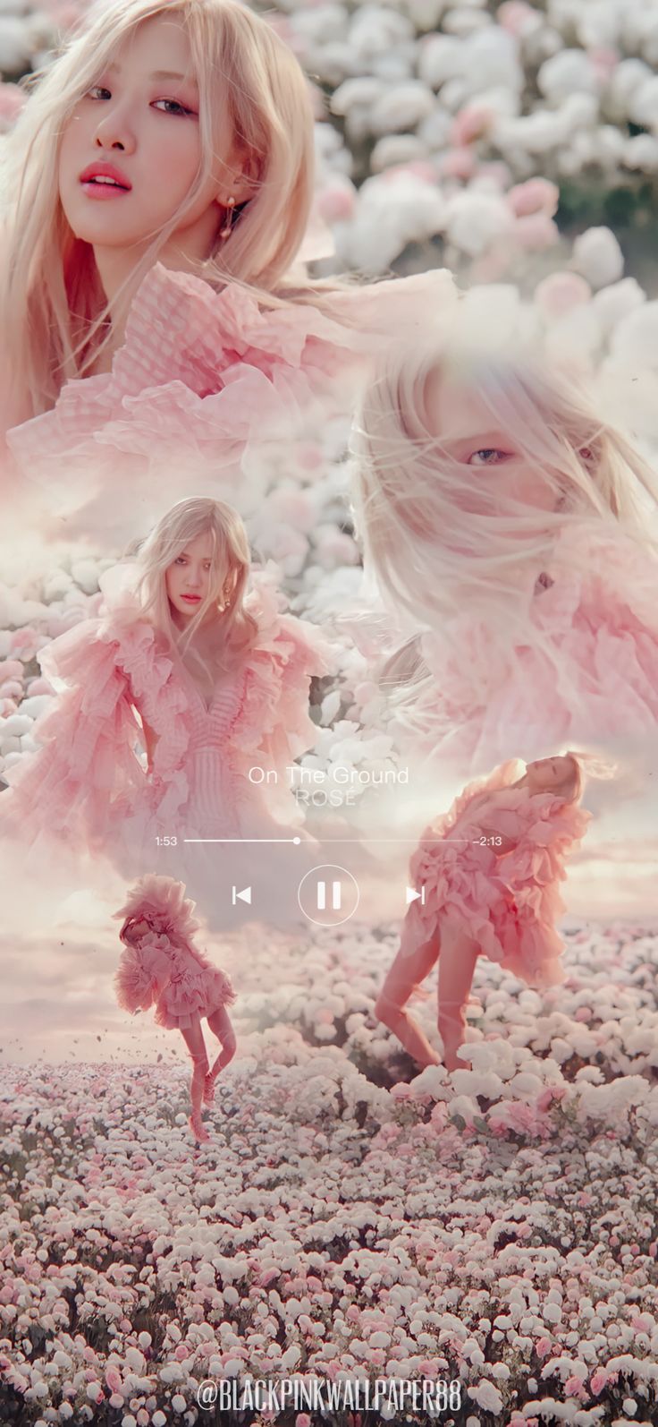 736x1594 ROSÉ ON THE GROUND MV WALLAPER