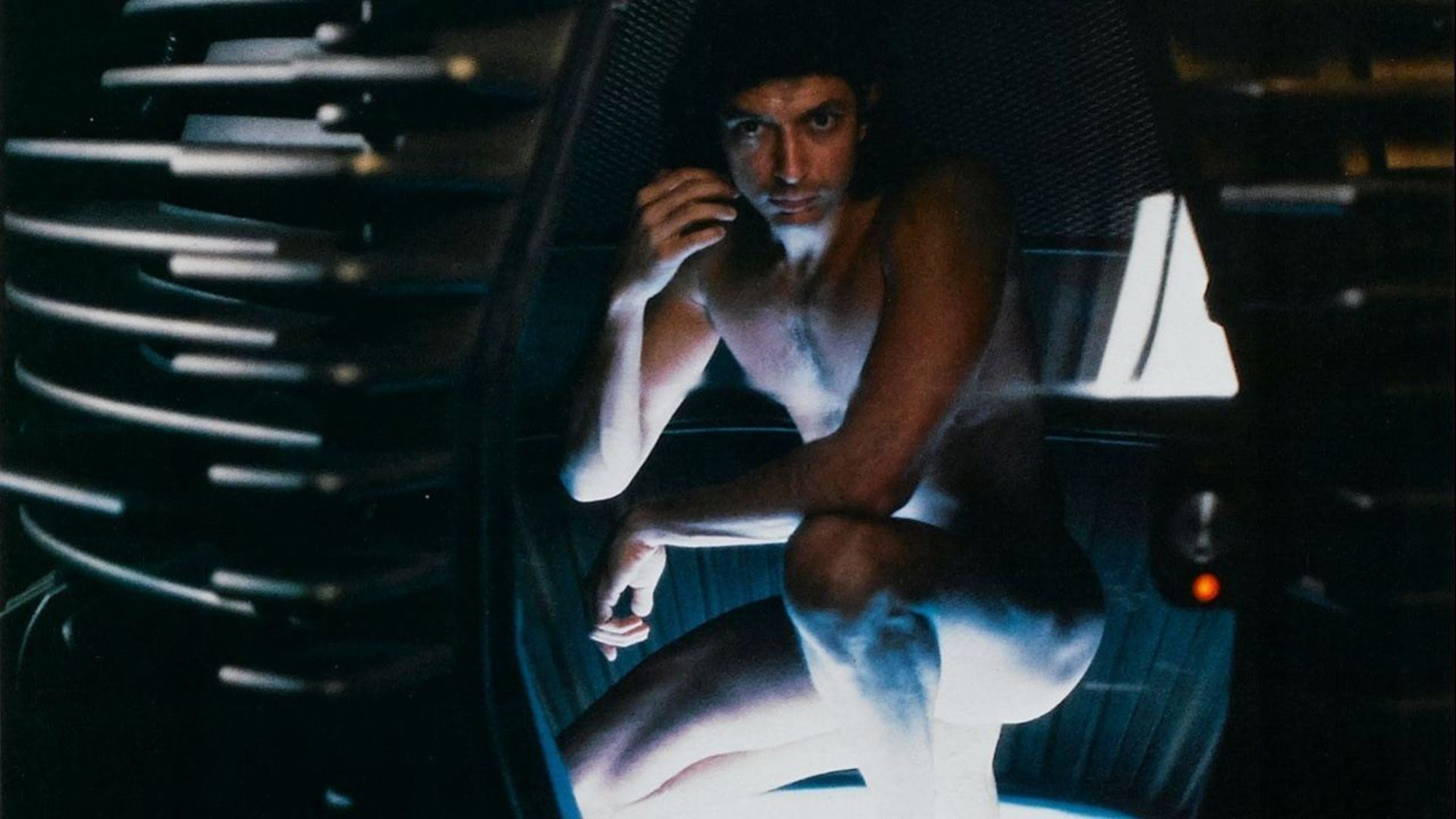 1920x1080 The Fly at 30: Revisiting Cronenberg's body horror masterpiece and its rocky journey to the big screen