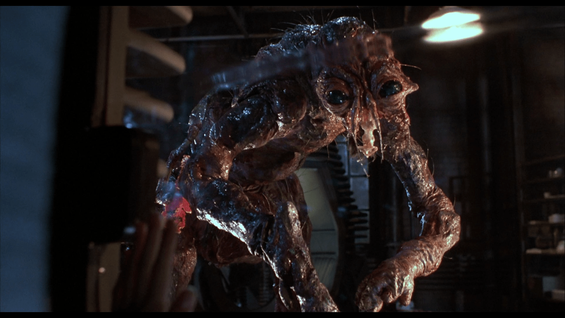 1920x1080 David Cronenberg Explains Why He Probably Won't Be Making Another Horror Movie