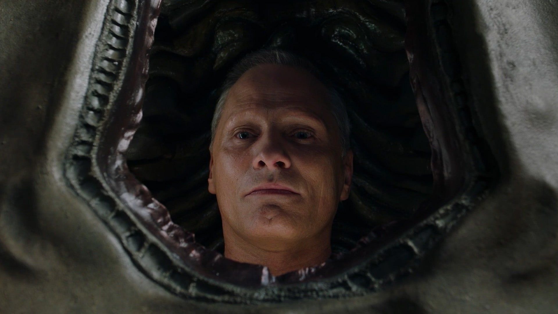1920x1080 David Cronenberg On Netflix Passing On Crimes of the Future: 'I Thought They Would Be Different'