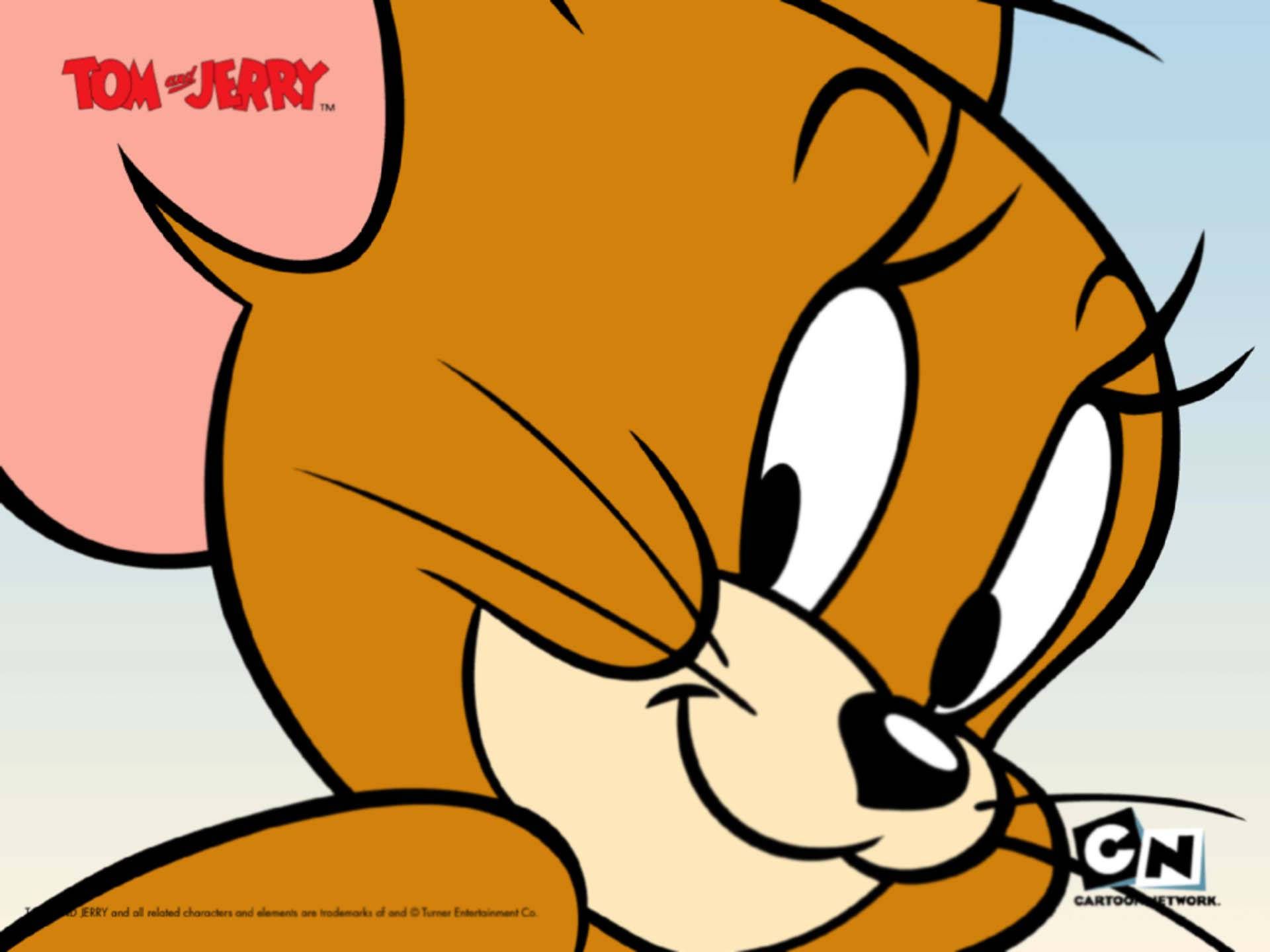 1920x1440 Jerry Wallpaper