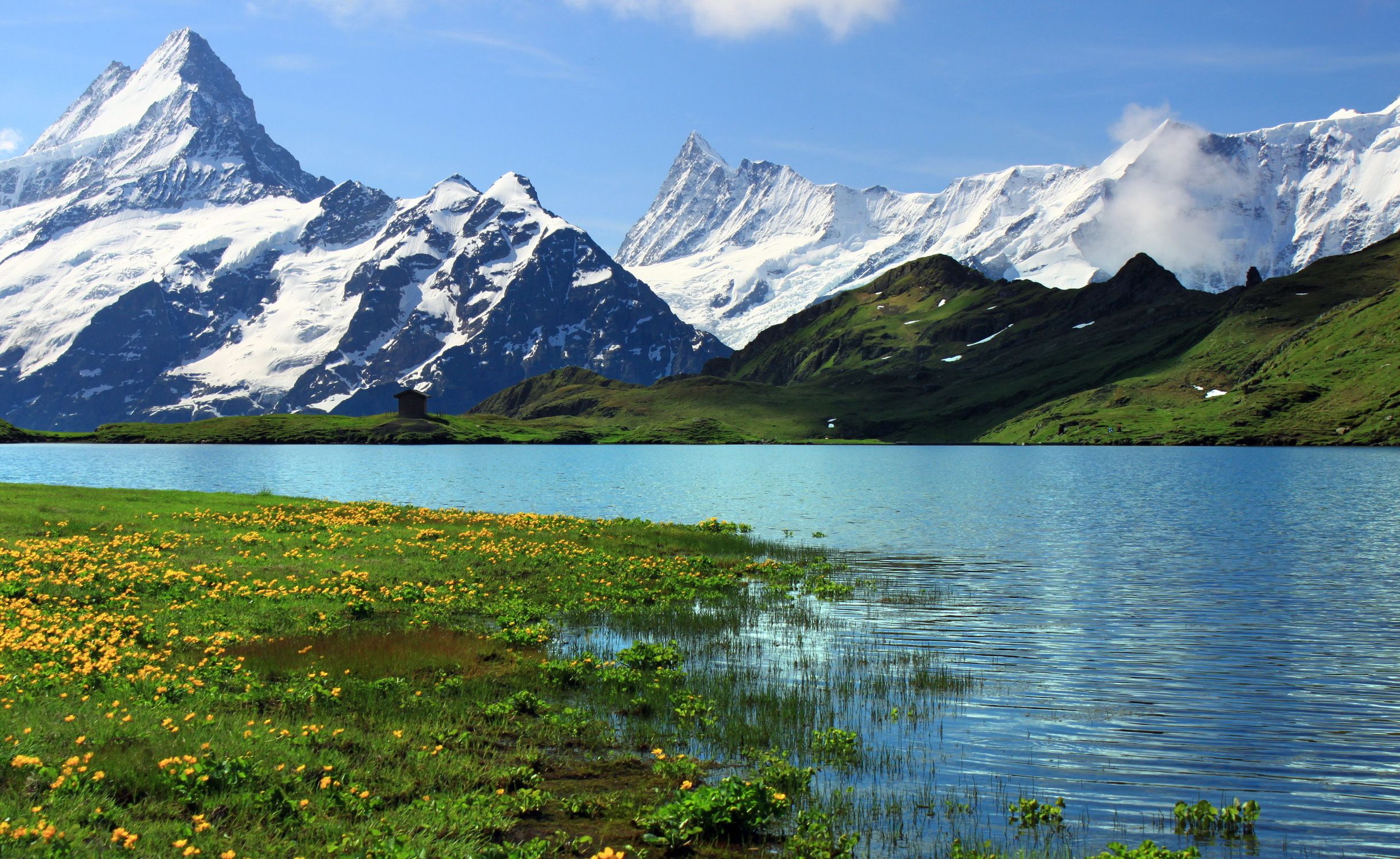 2436x1495 Wallpaper grass, snow, mountains, river, rocks, Switzerland, Switzerland, flowers. for mobile and desktop, section пейзажи, resolution 2436x1495